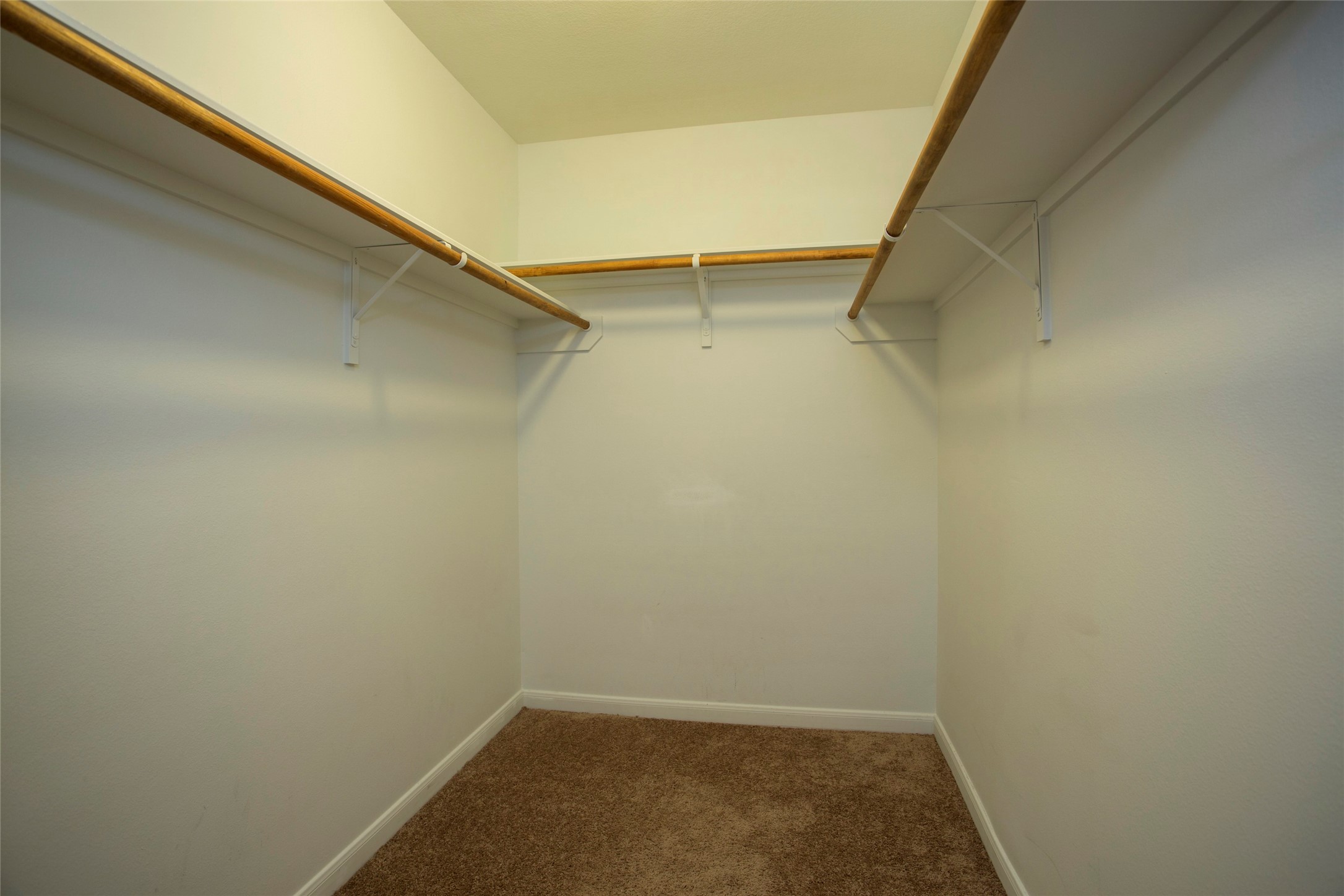 4302 Pecos River Drive Property Photo 11