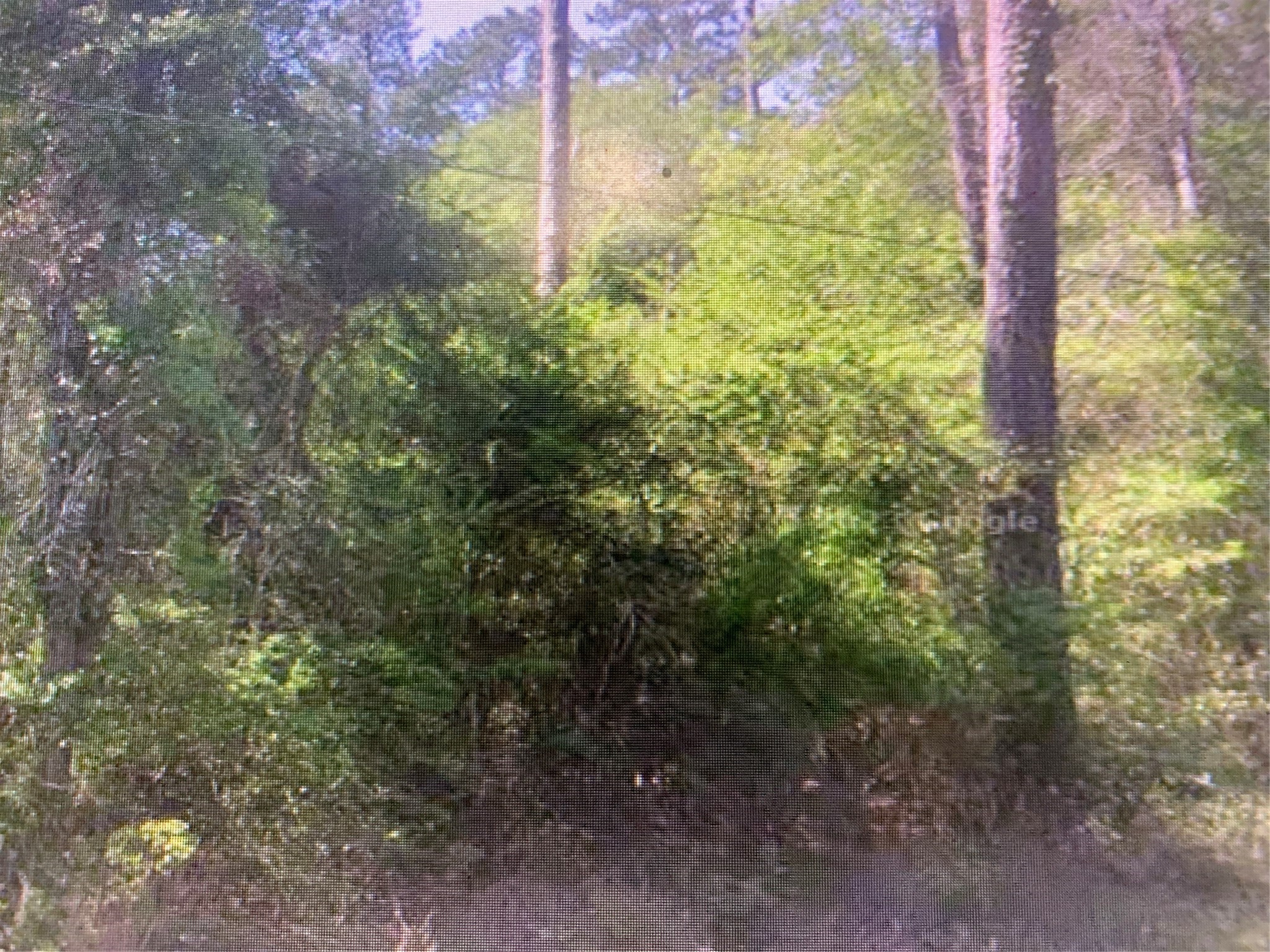 0 E Parkway Drive Property Photo 6