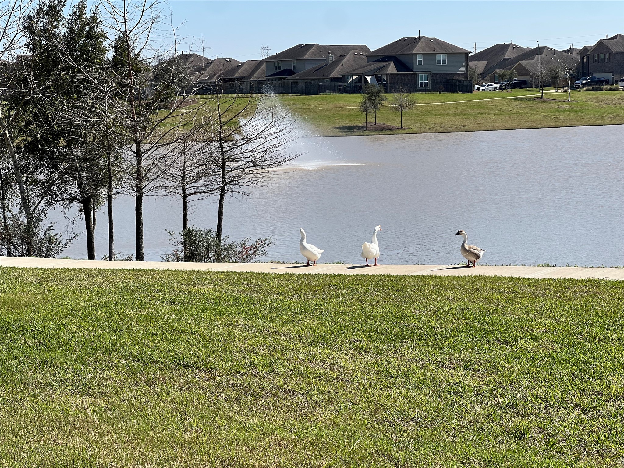 14022 Falling Sky Lane Property Photo 21