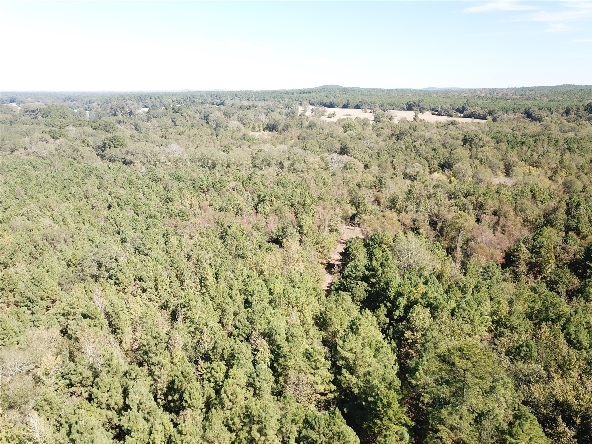 21471 N Fm 95 Property Photo