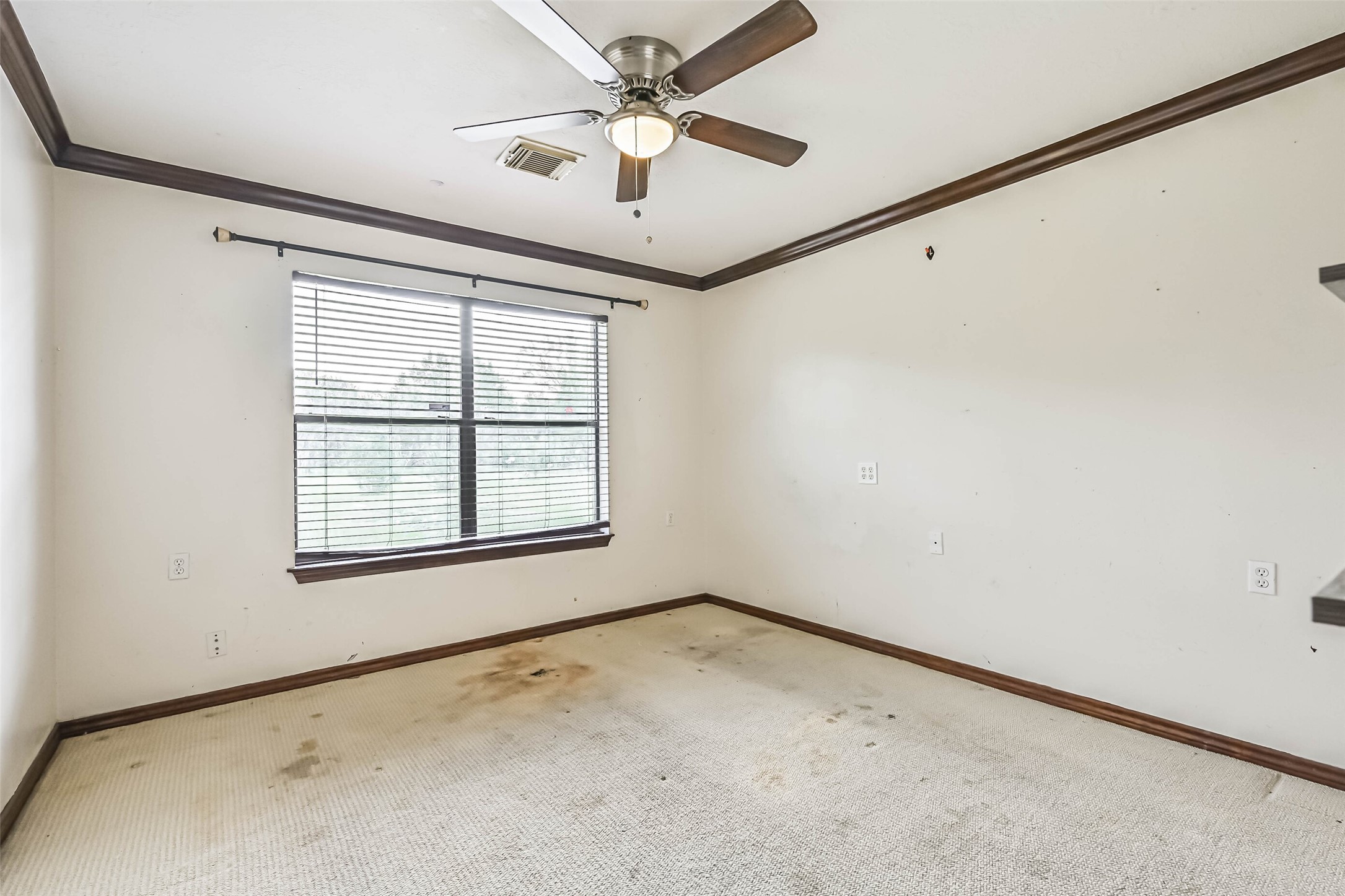 7003 Amie Lane Cr879 Property Photo 25