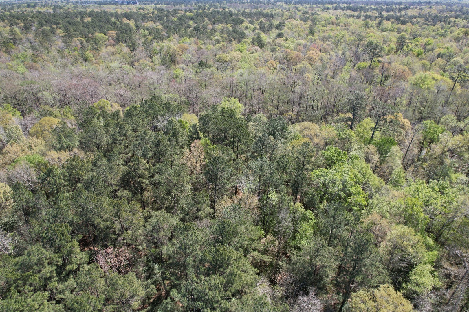 Tbd County Road 4219 Property Photo 3