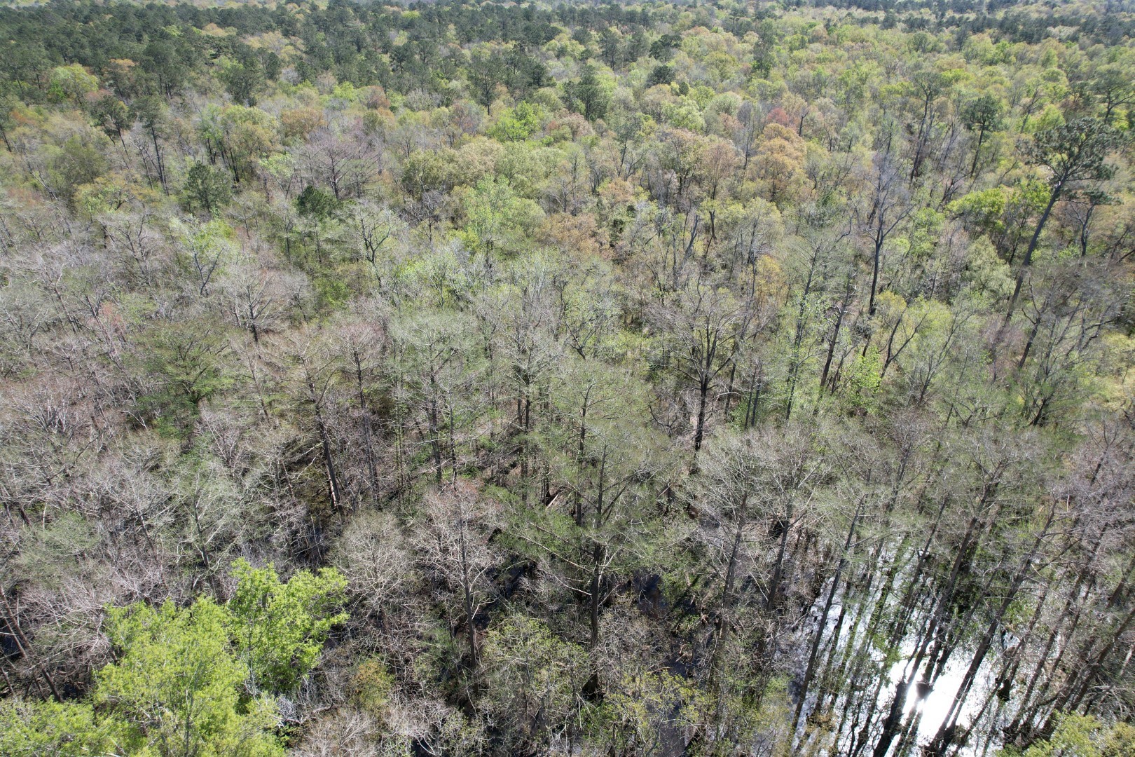 Tbd County Road 4219 Property Photo 4
