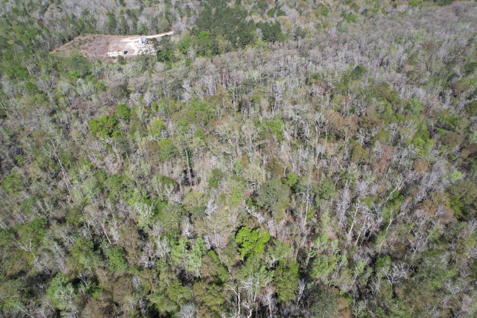 Tbd County Road 4219 Property Photo 5