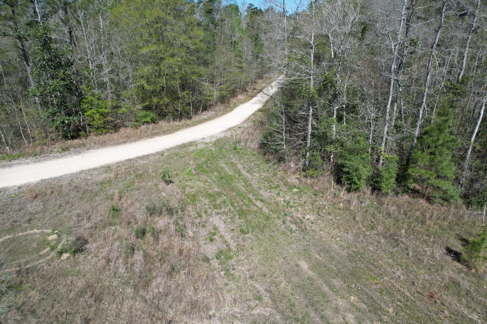 Tbd County Road 4219 Property Photo 6
