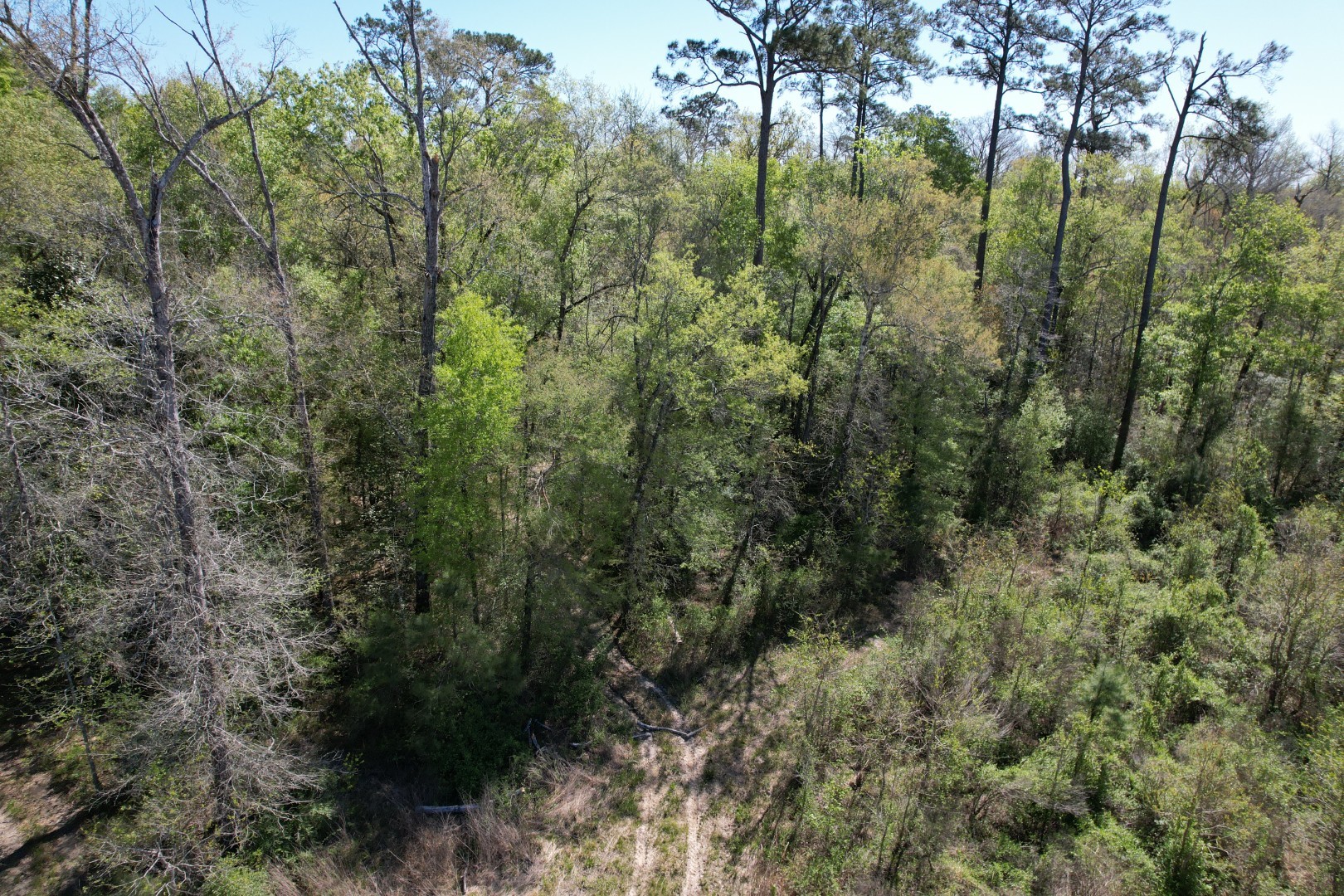 Tbd County Road 4219 Property Photo 7