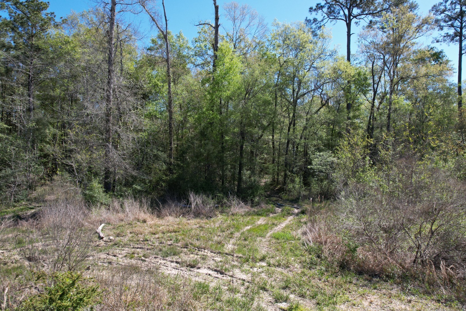 Tbd County Road 4219 Property Photo 9