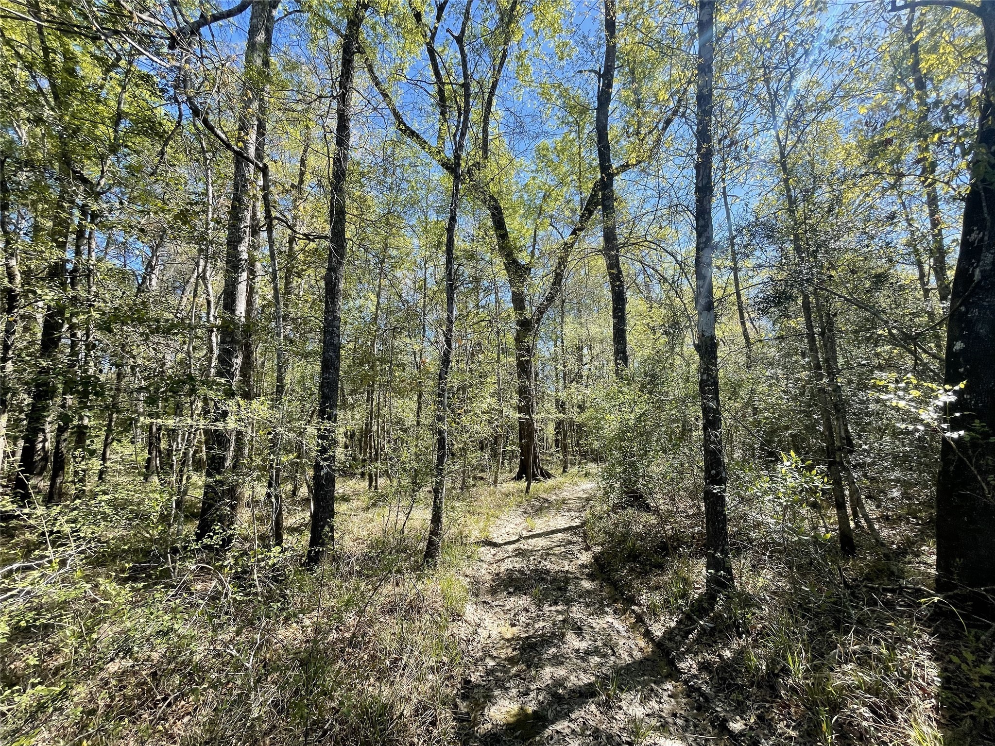 Tbd County Road 4219 Property Photo 10