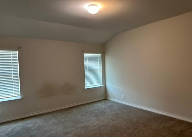 6851 Courante Waltz Property Photo 12
