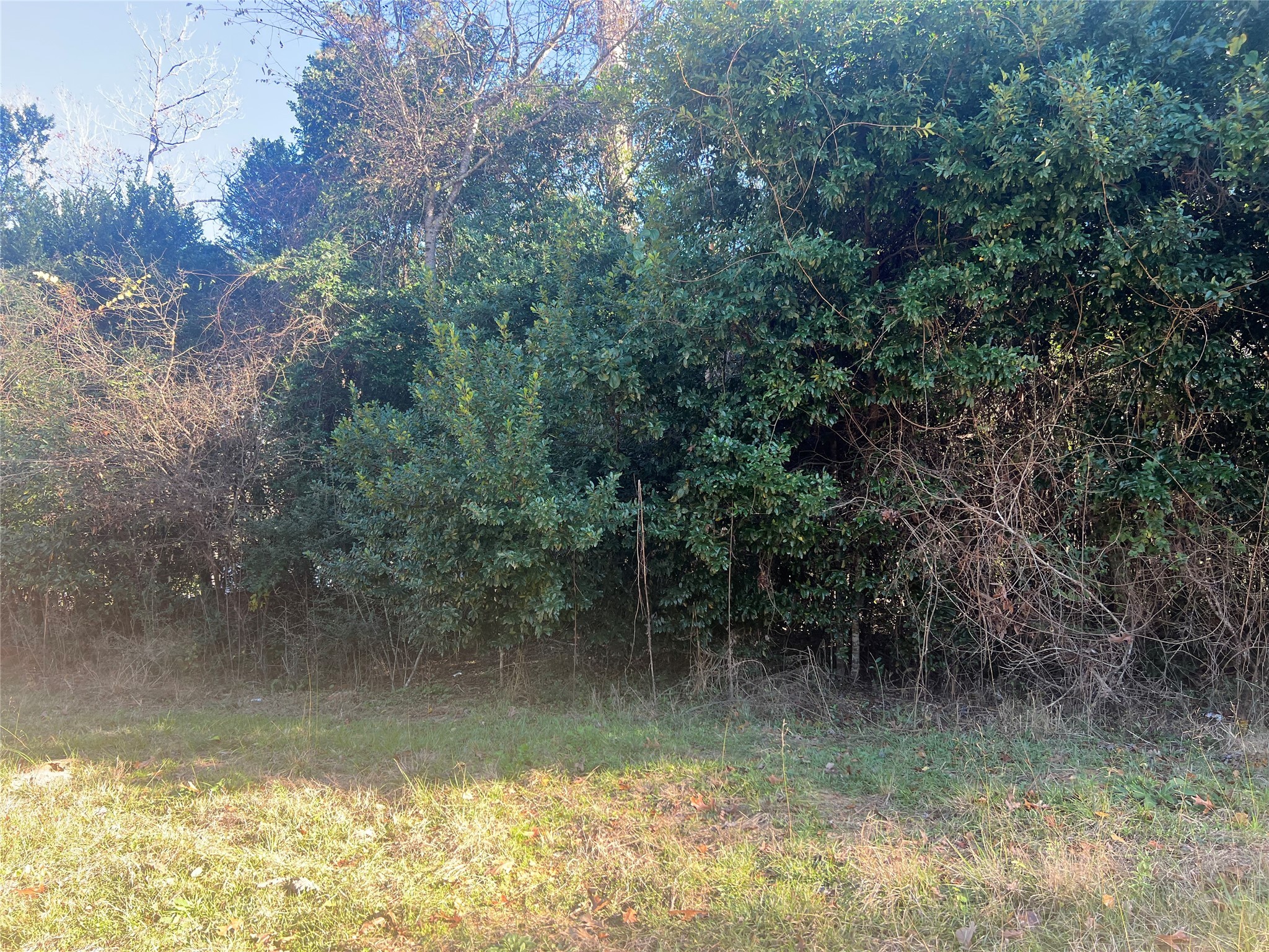 150 Lannie Boulevard Property Photo 1