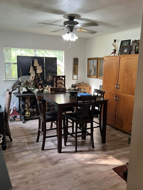 456 Sherwood Forest Drive N Property Photo 16