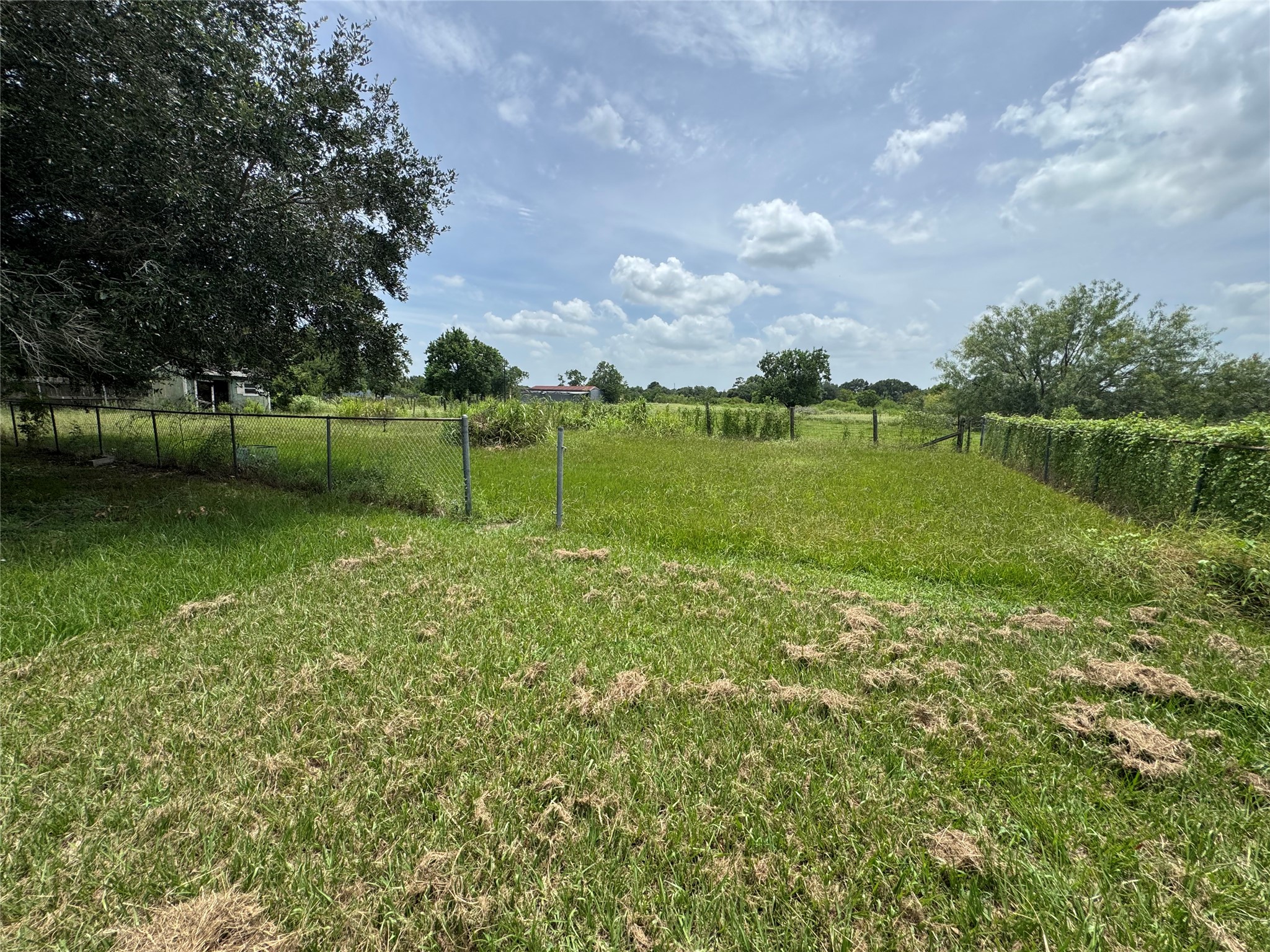 809 Campbell Road Property Photo 8