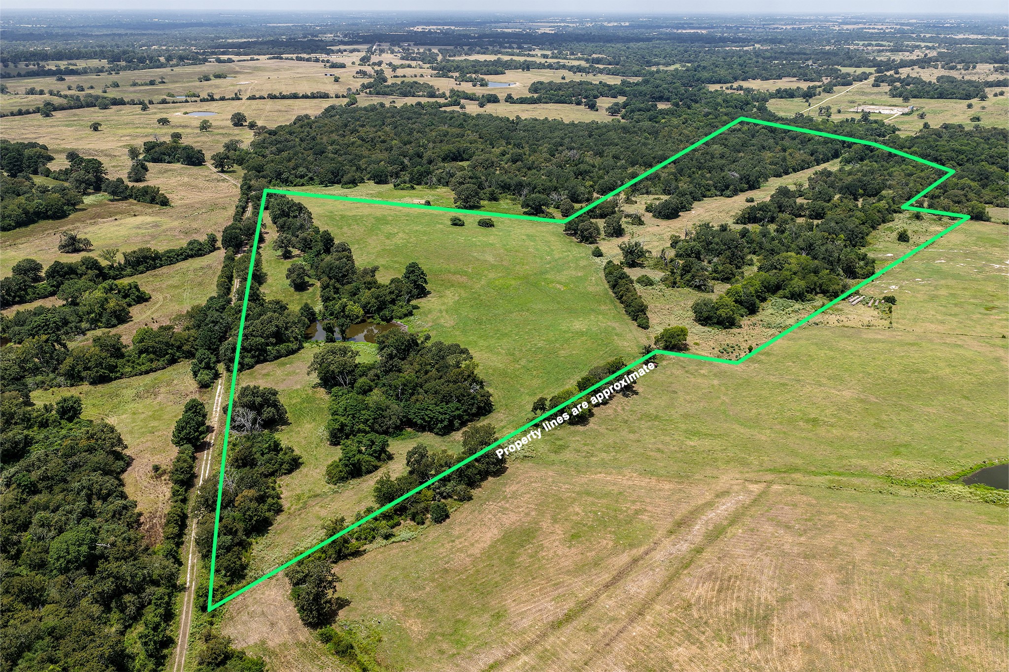 60 Acres Petri Lane Property Photo 2