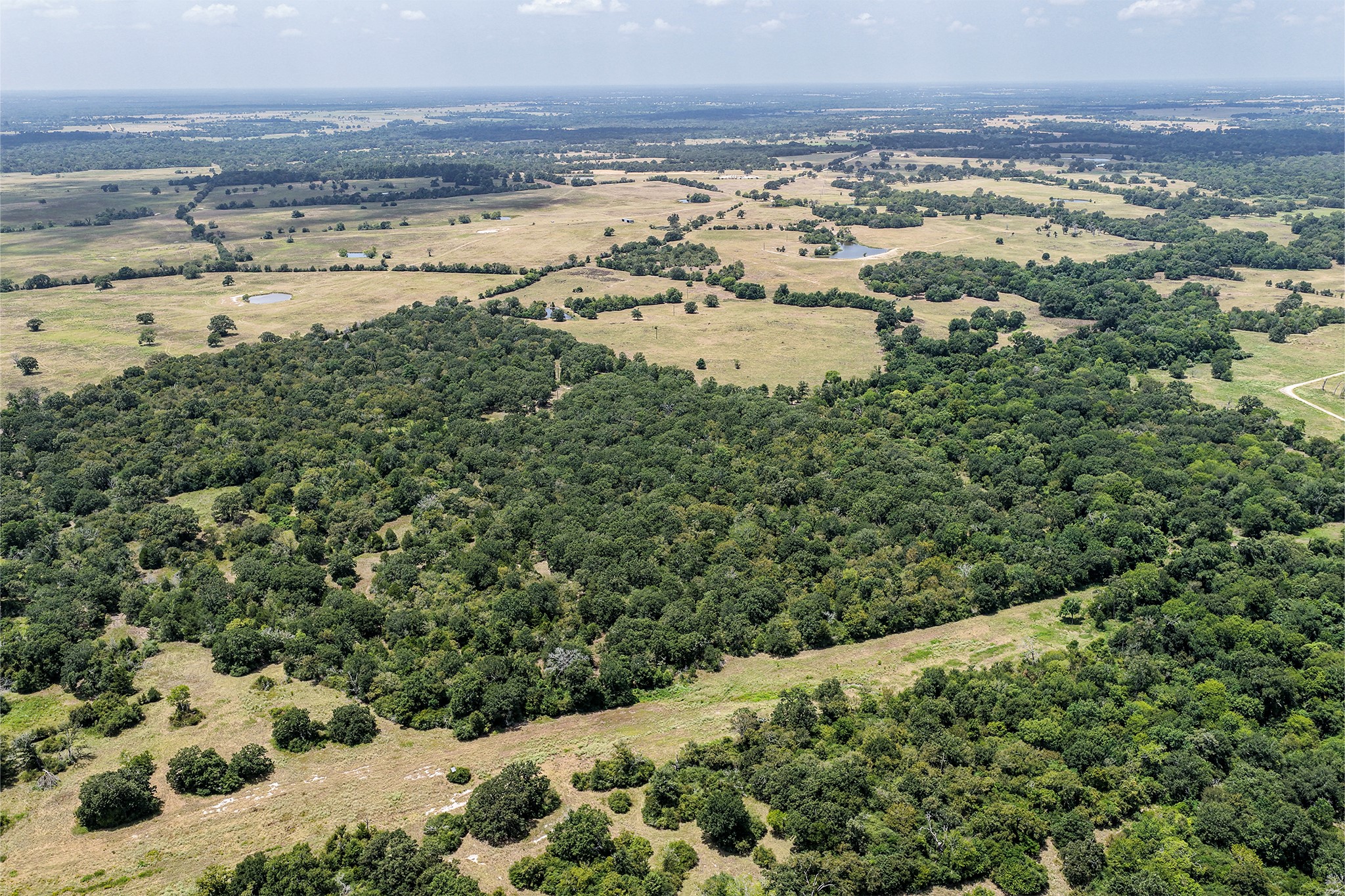 60 Acres Petri Lane Property Photo 3