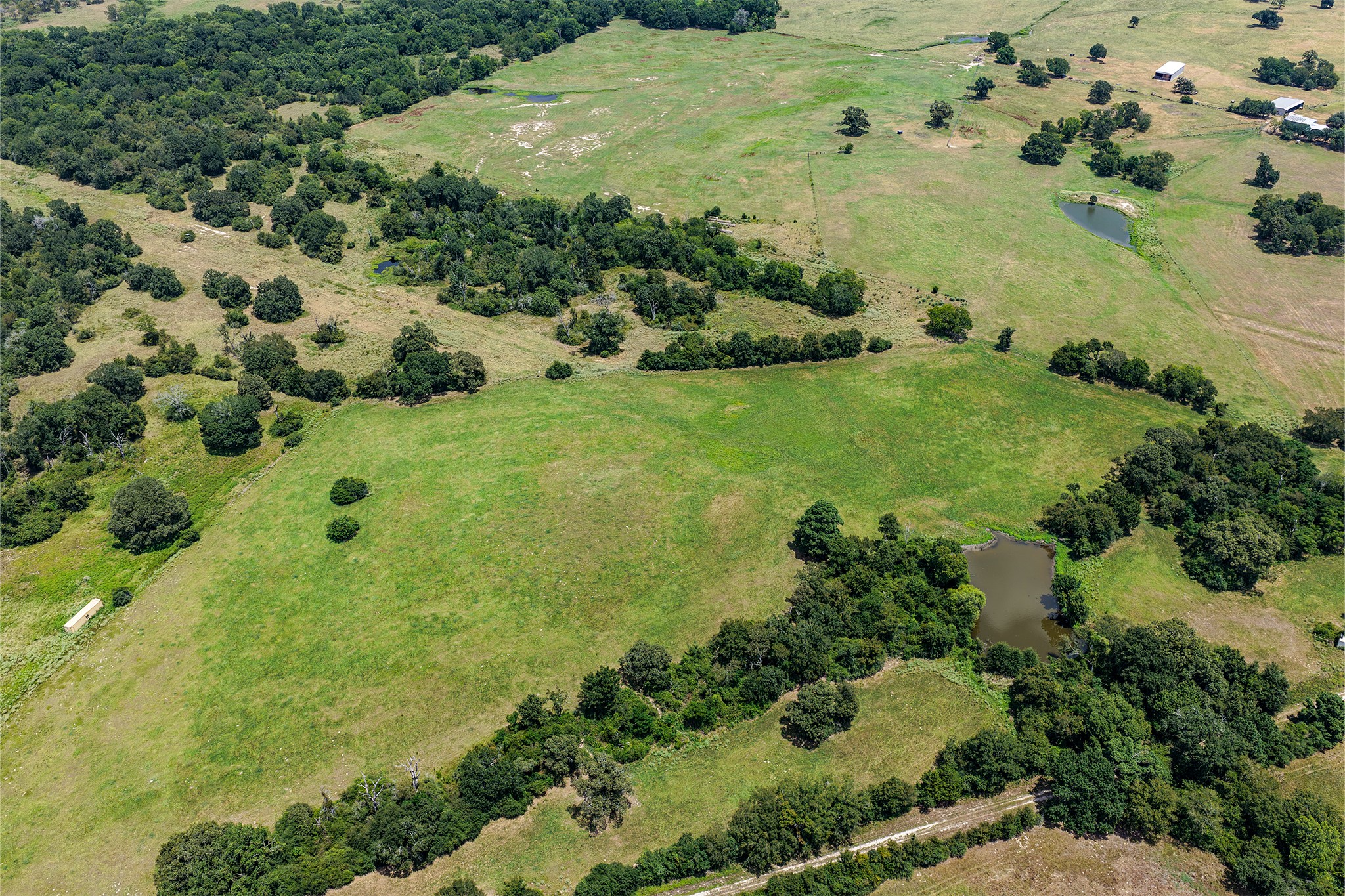 60 Acres Petri Lane Property Photo 4