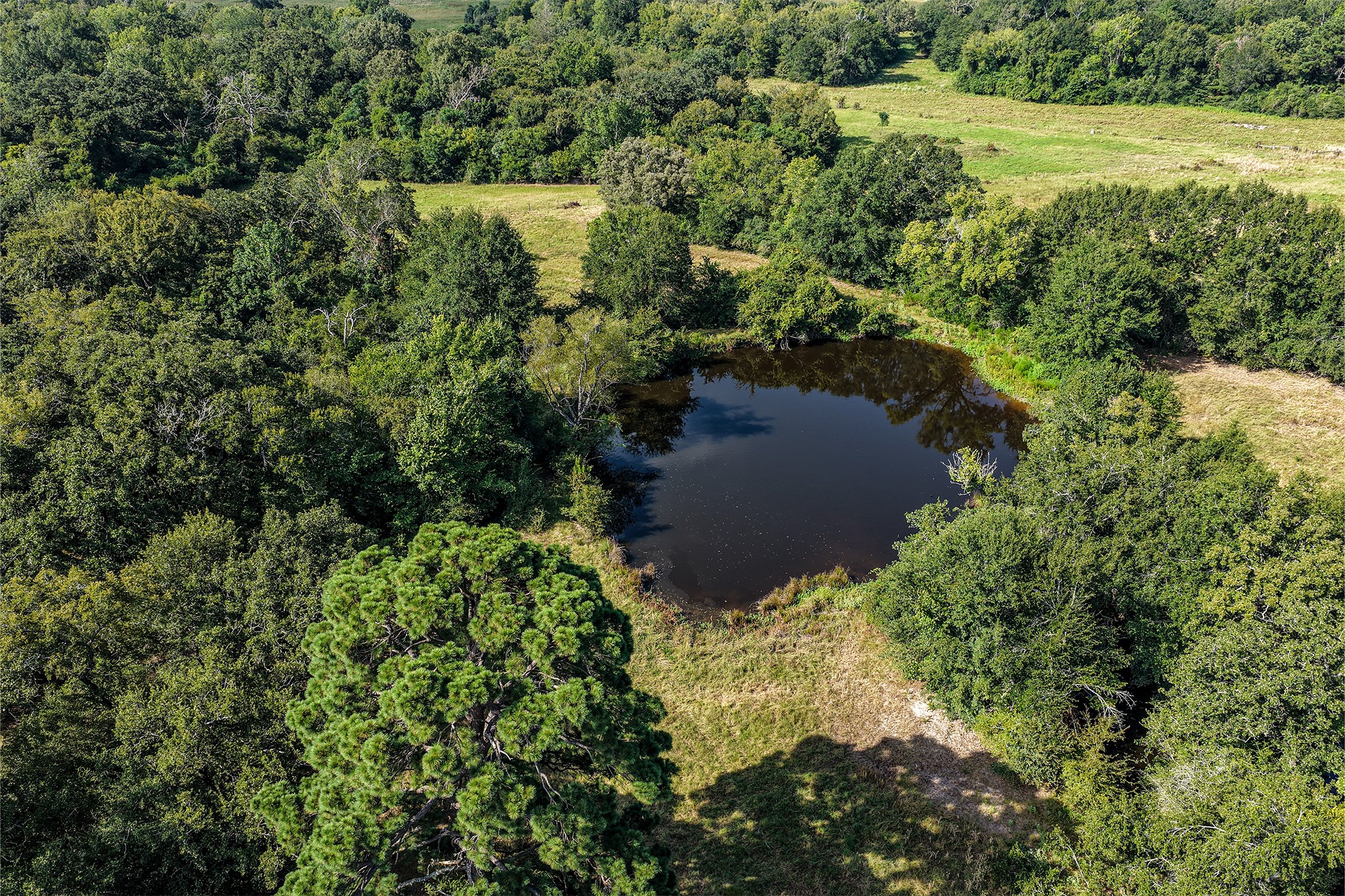 60 Acres Petri Lane Property Photo 6