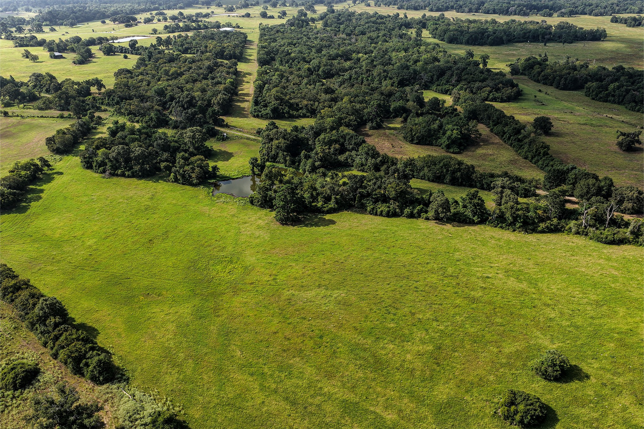 60 Acres Petri Lane Property Photo 7