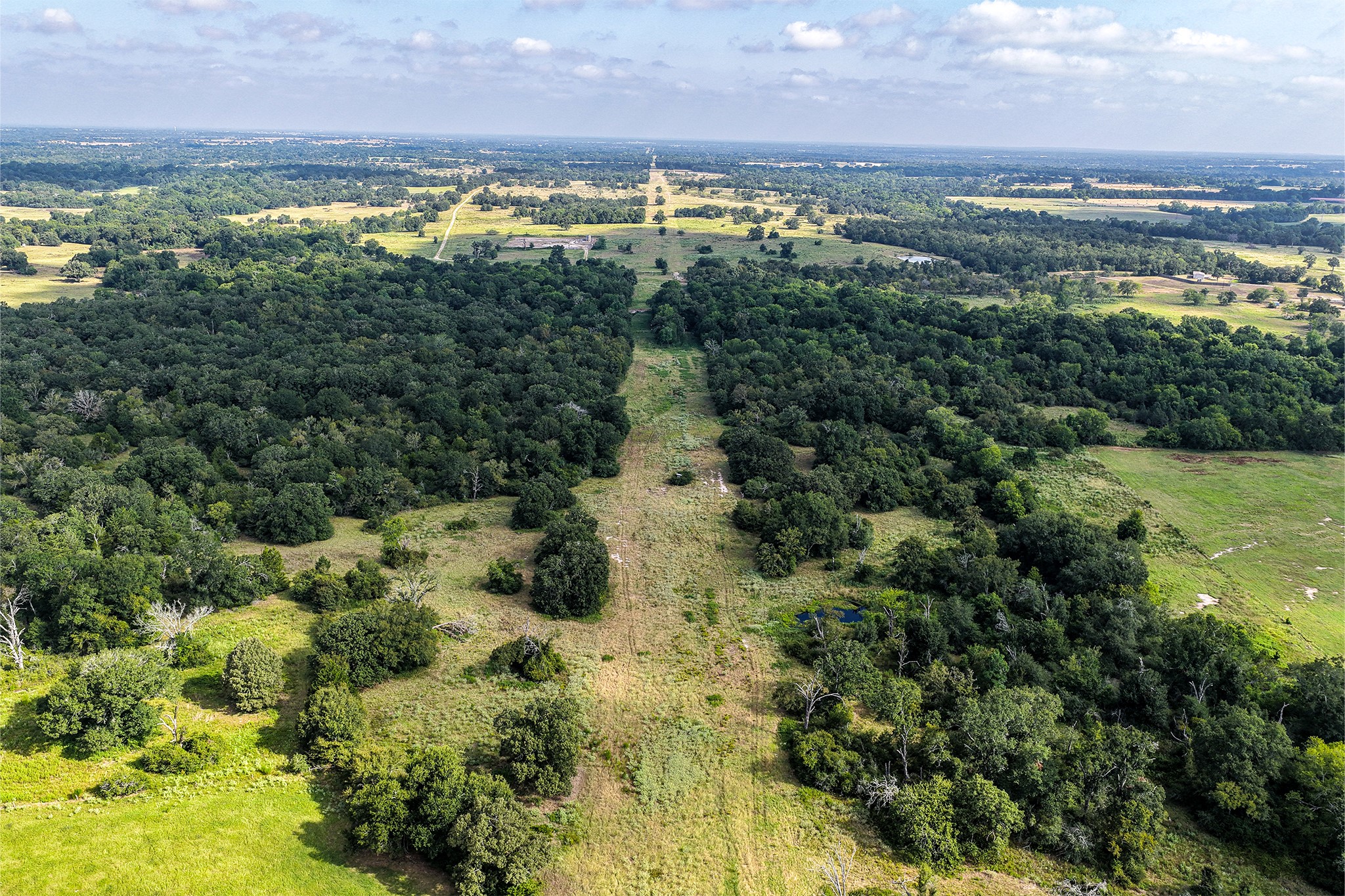 60 Acres Petri Lane Property Photo 8