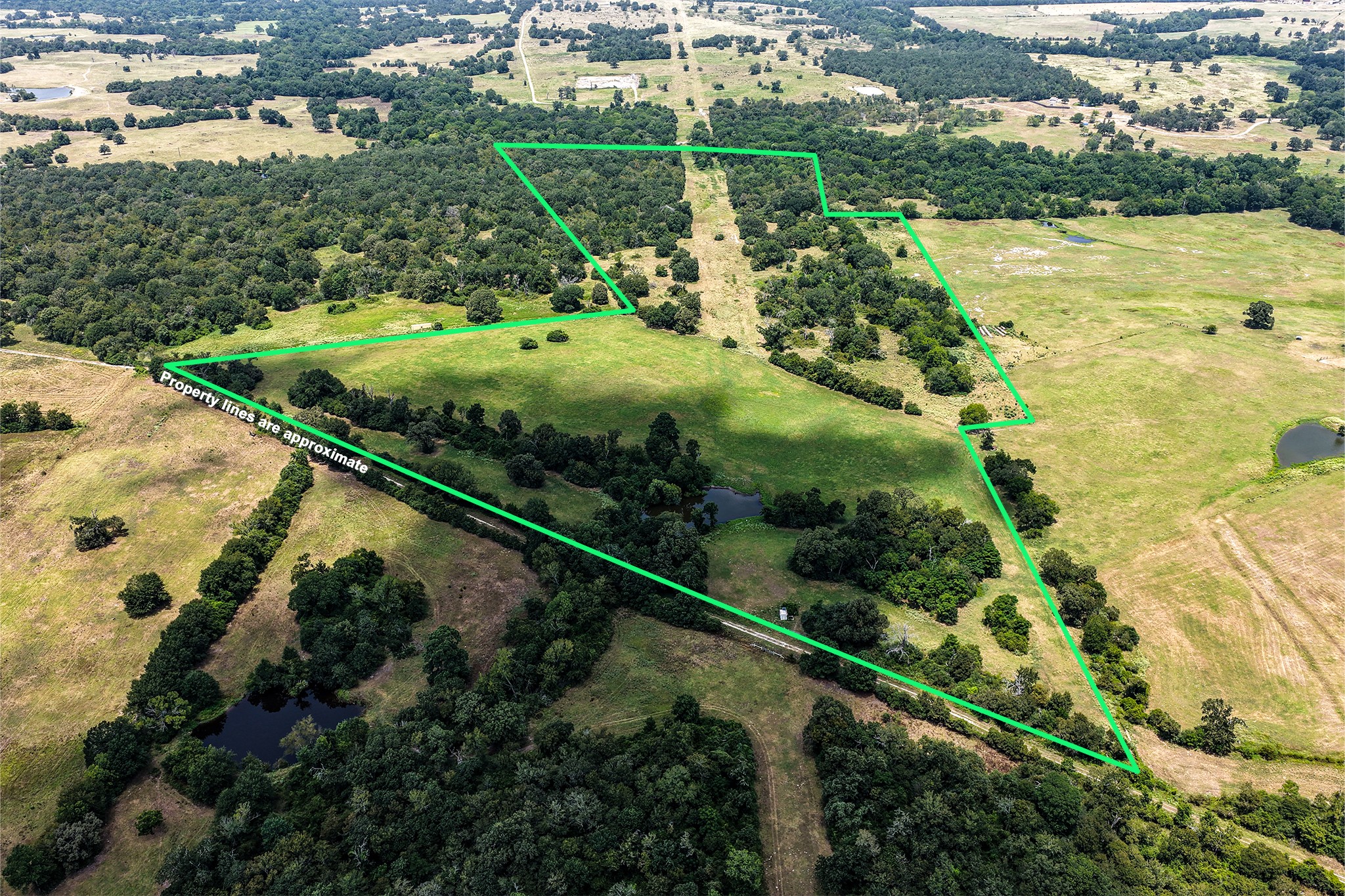 60 Acres Petri Lane Property Photo 10