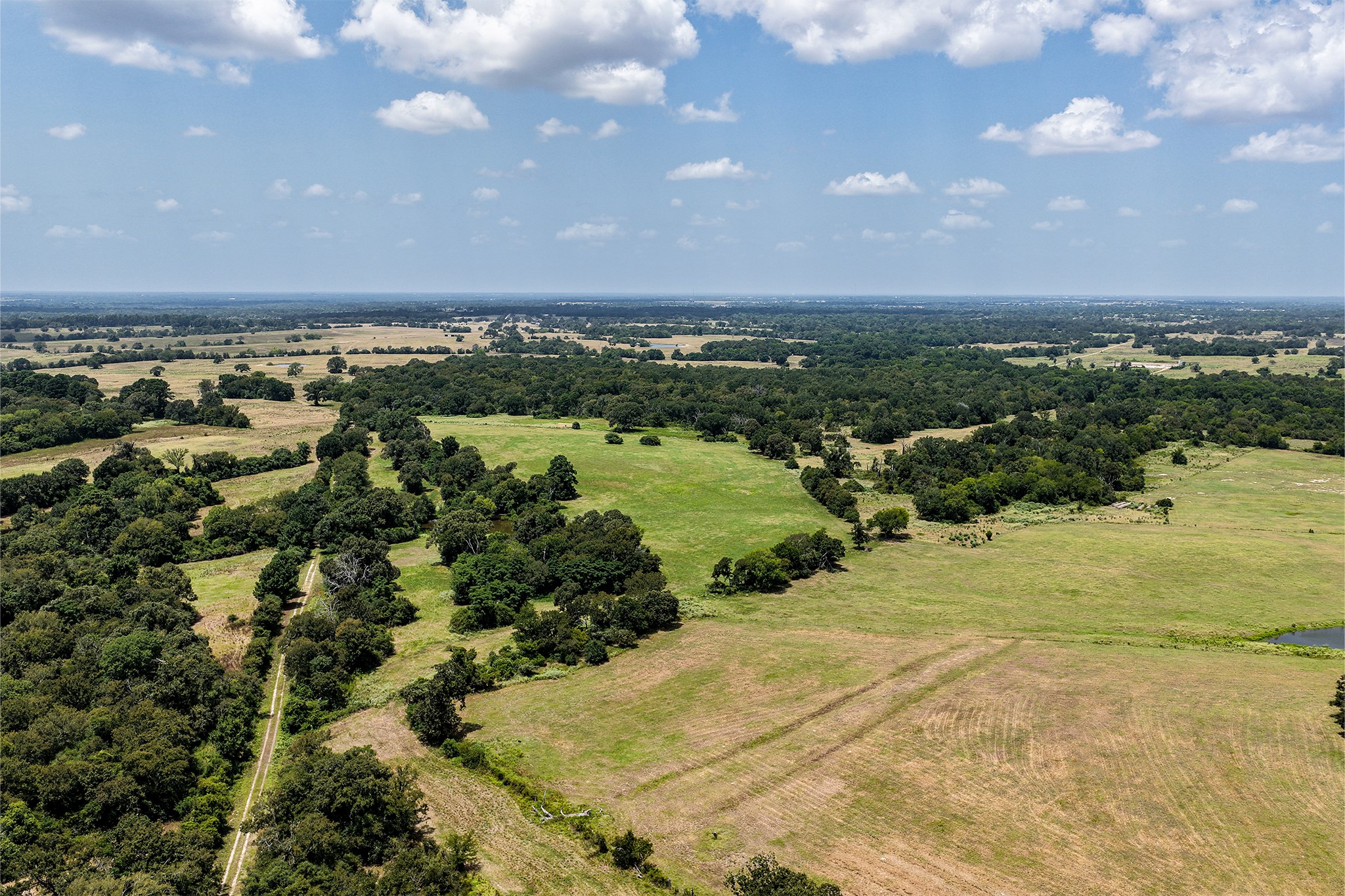 60 Acres Petri Lane Property Photo 11