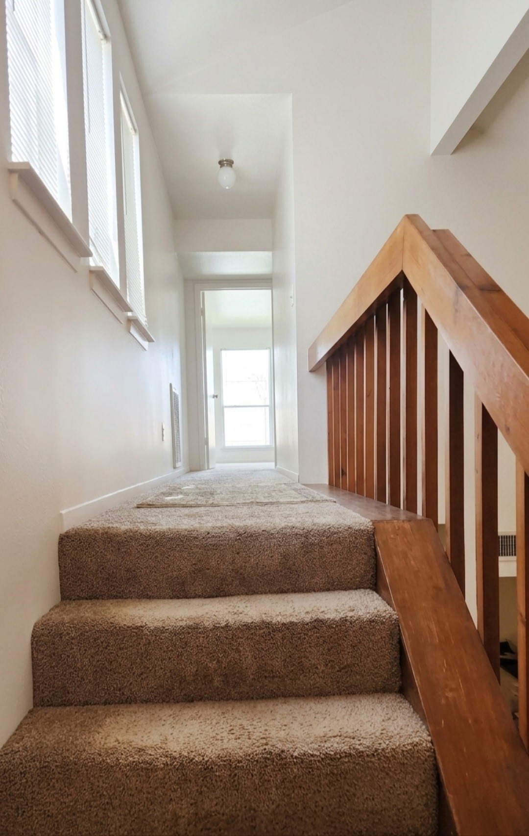 11034 Petworth Drive Property Photo 6