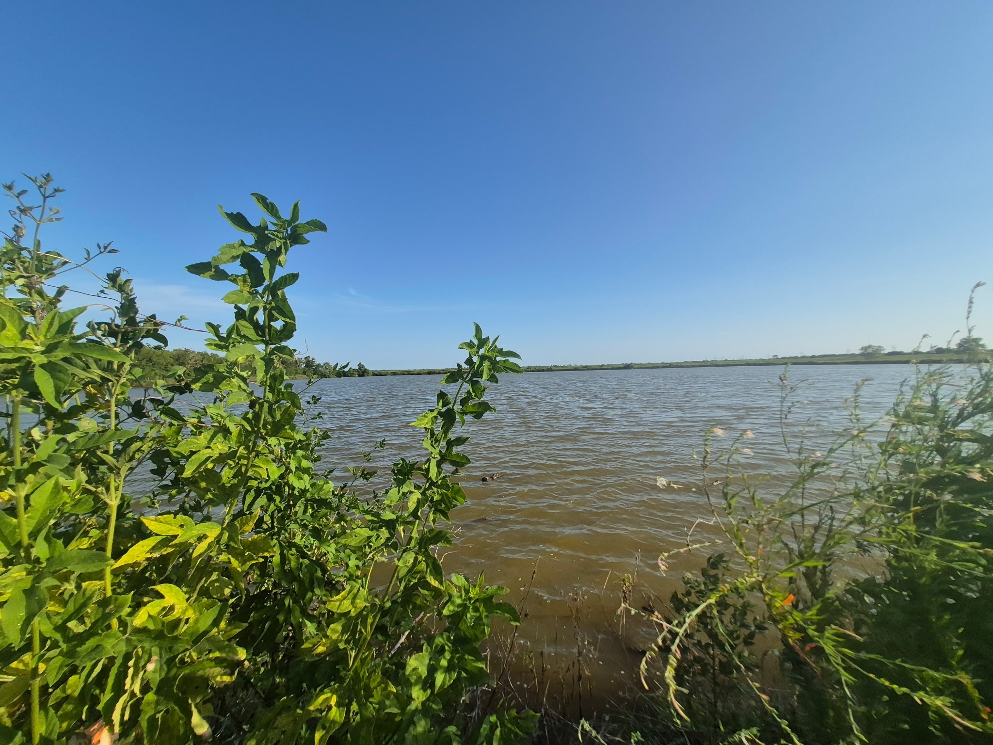 27942 Inland Breeze Lane Property Photo 7