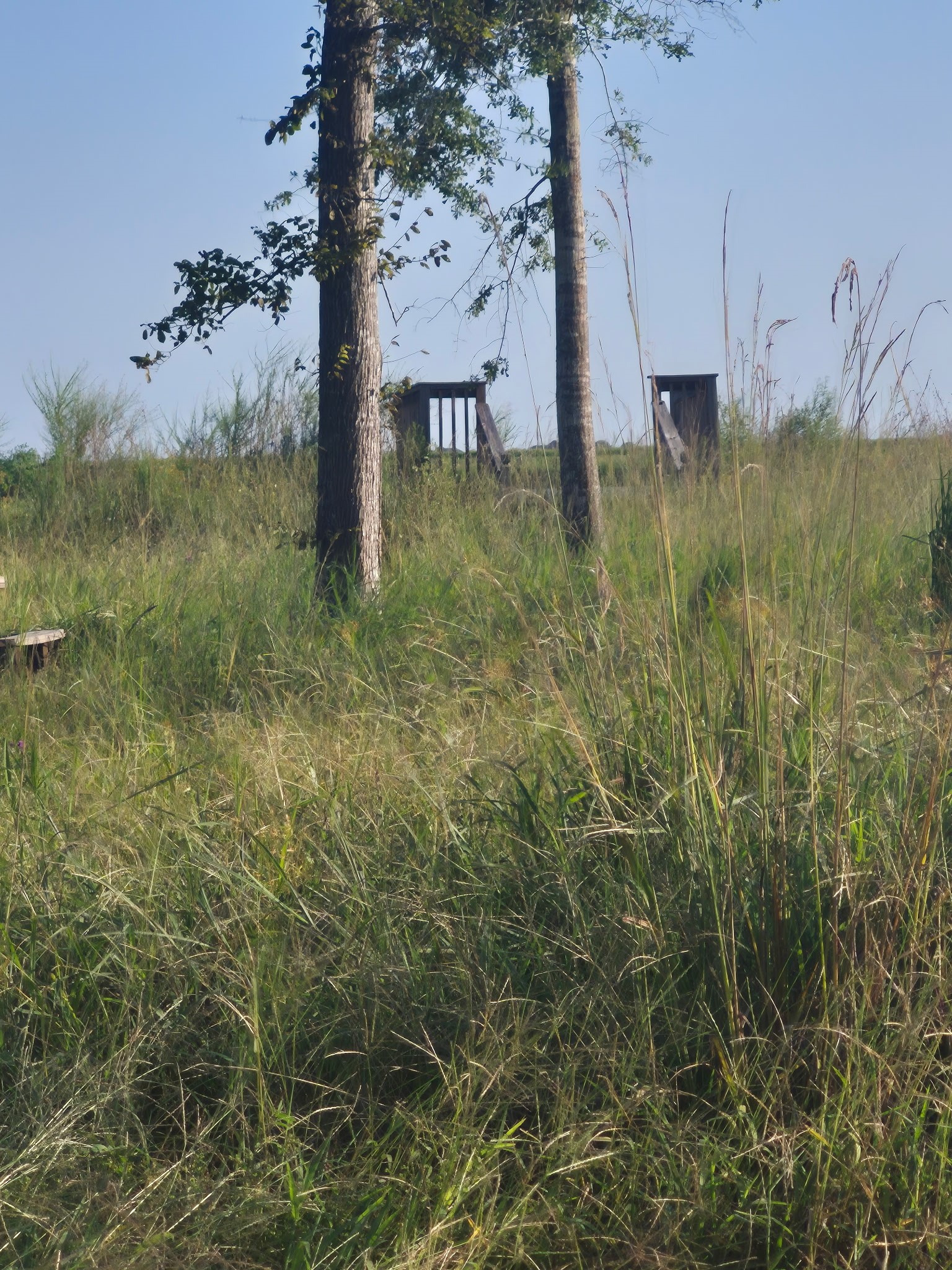 27942 Inland Breeze Lane Property Photo 9