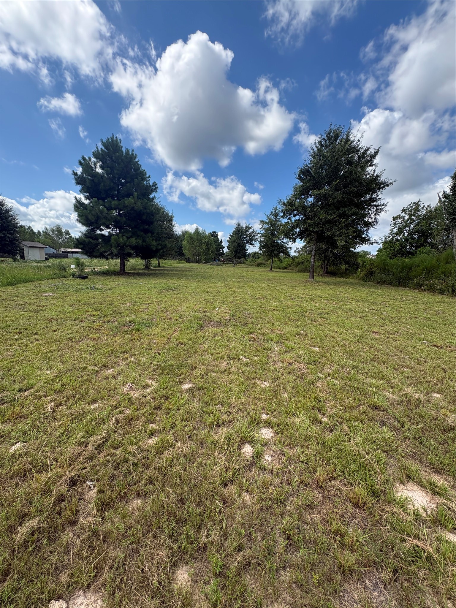 1488 County Road 3540 Property Photo 6