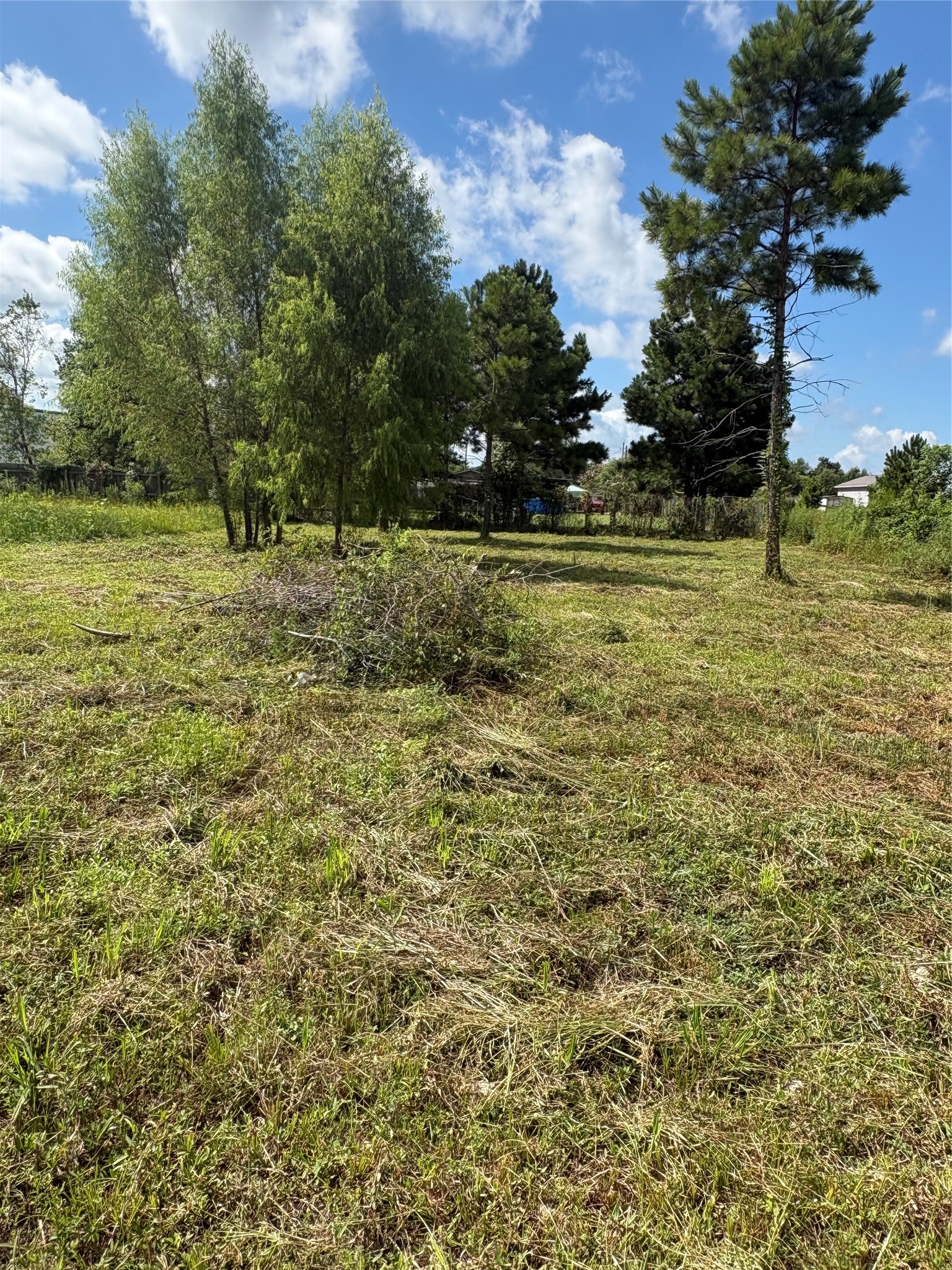 1488 County Road 3540 Property Photo 9