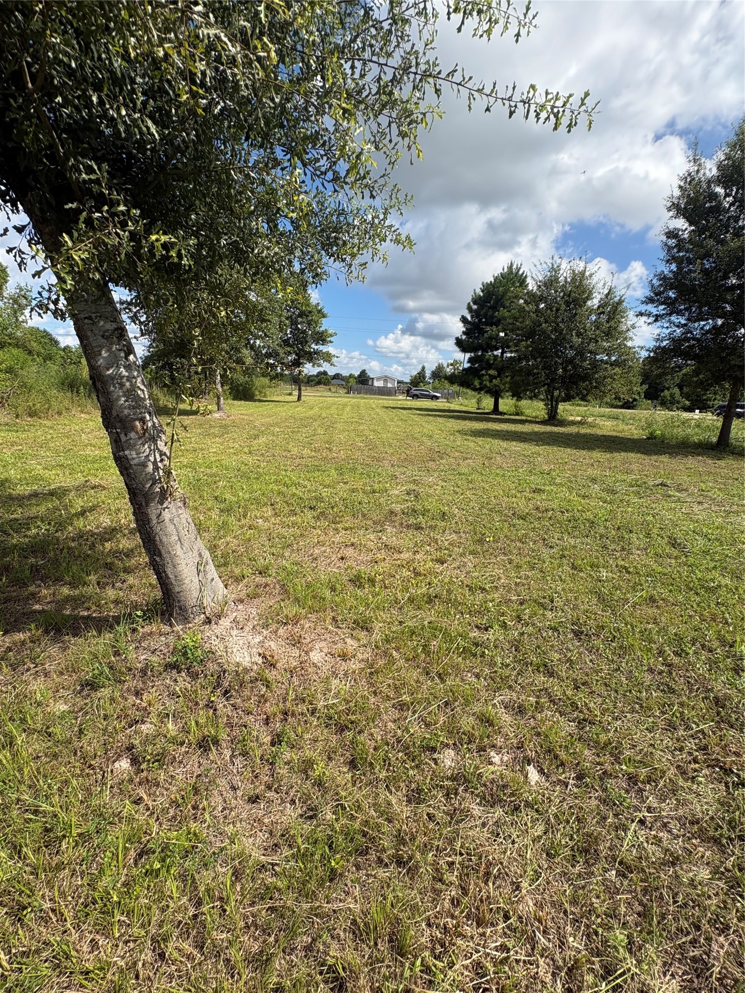 1488 County Road 3540 Property Photo 11