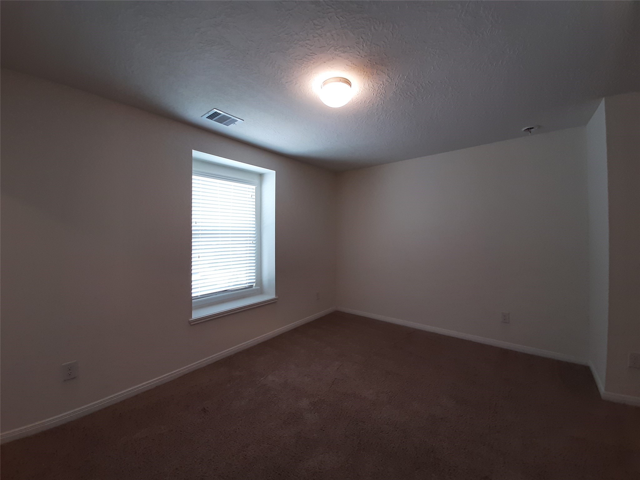 4834 Lucky Fawn Lane Property Photo 15