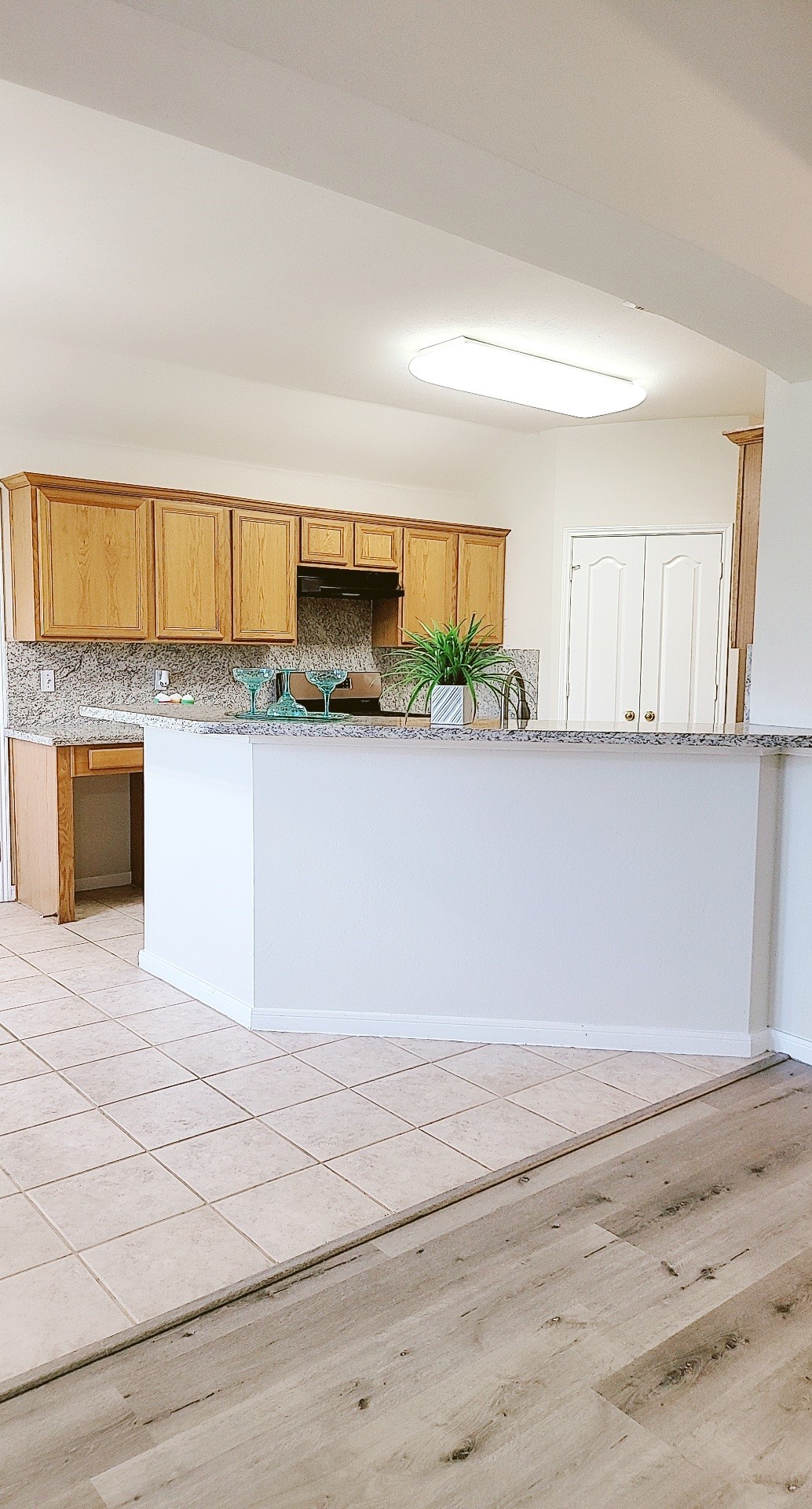 4602 Western Branch Court Property Photo 29