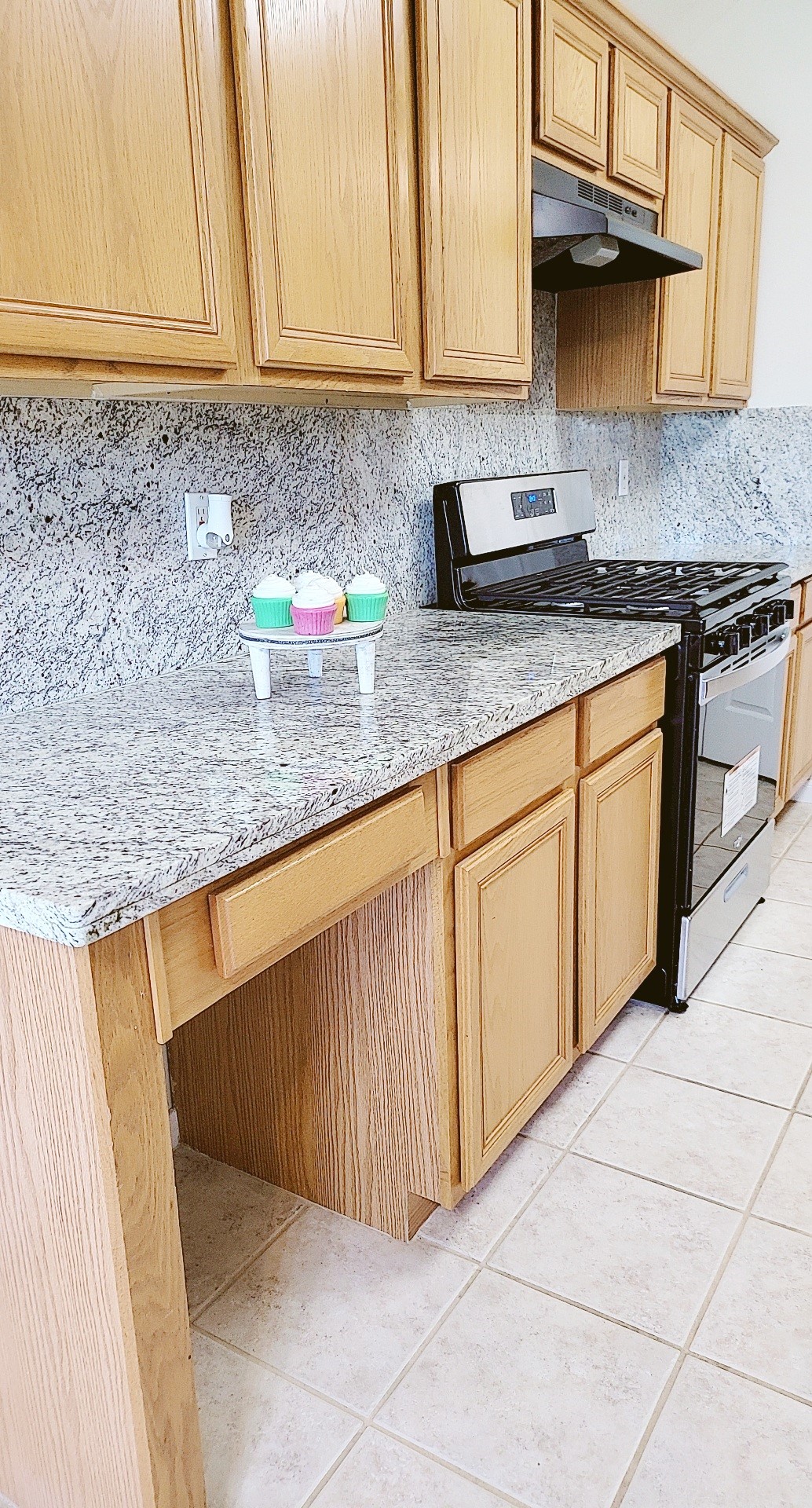 4602 Western Branch Court Property Photo 31