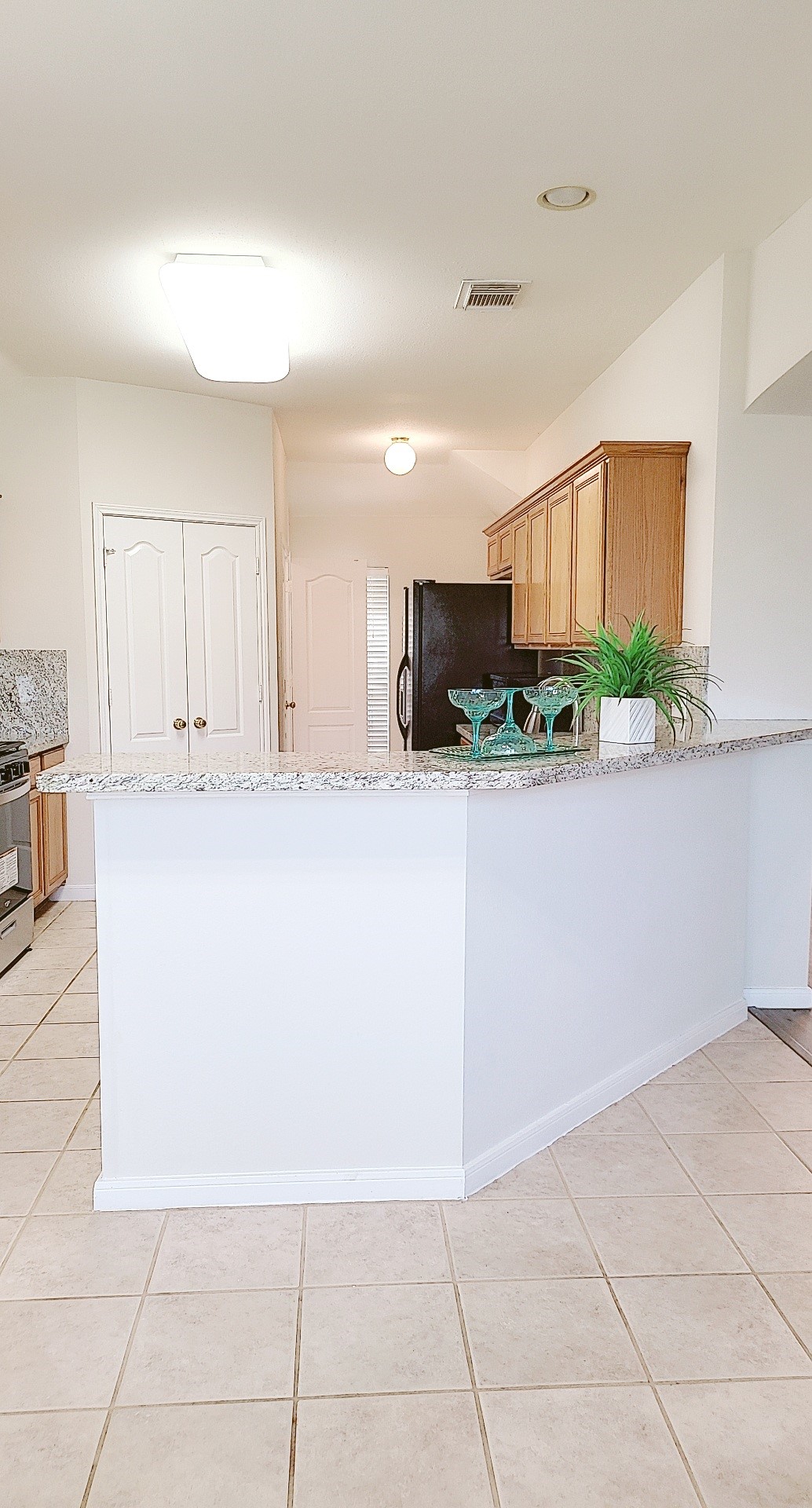 4602 Western Branch Court Property Photo 33