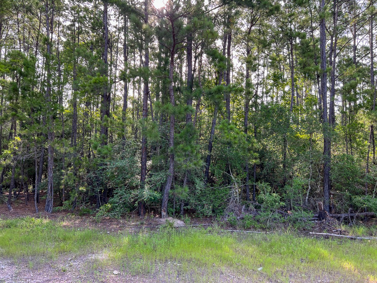 6 Fm 2989 Property Photo 5