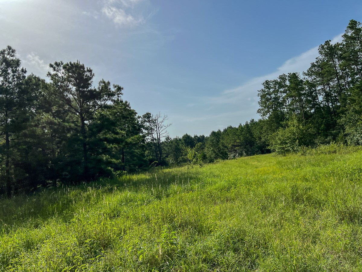 6 Fm 2989 Property Photo 6