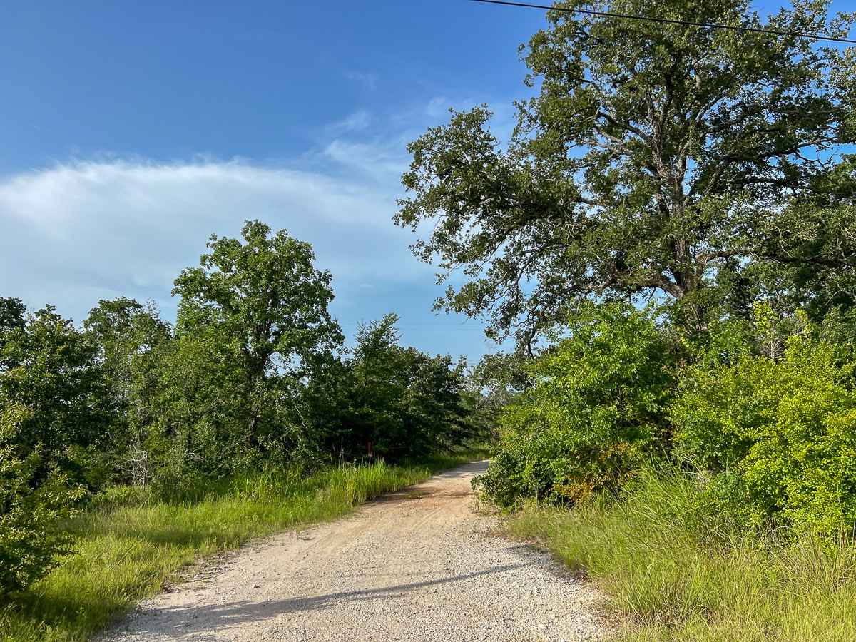 6 Fm 2989 Property Photo 15