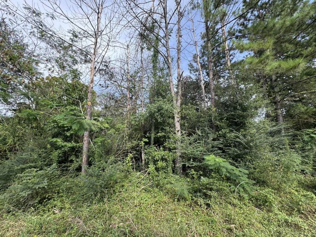 871 County Road 4470 Property Photo
