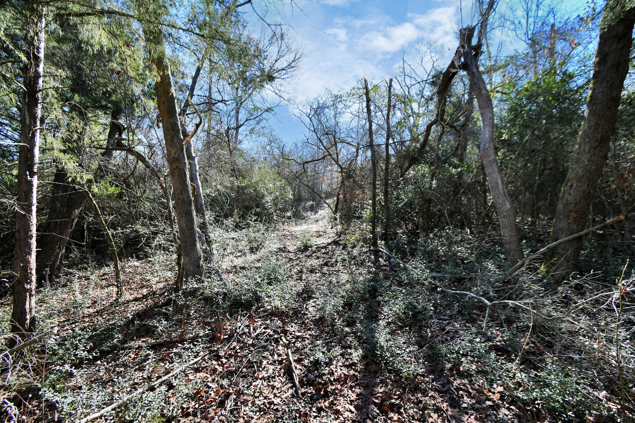 896 Pr 1318 Property Photo 10