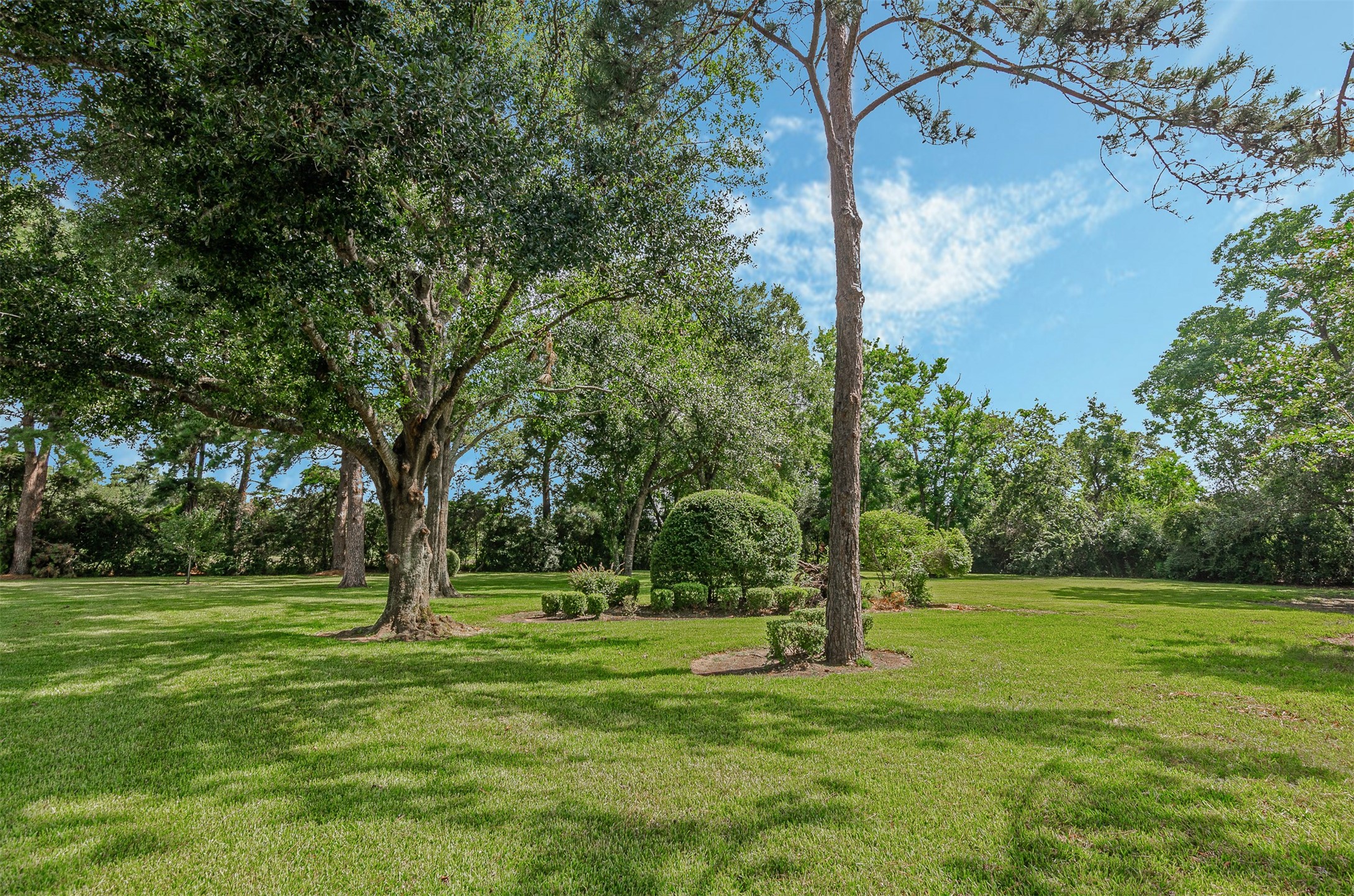 22222 Holly Creek Trail Property Photo 50
