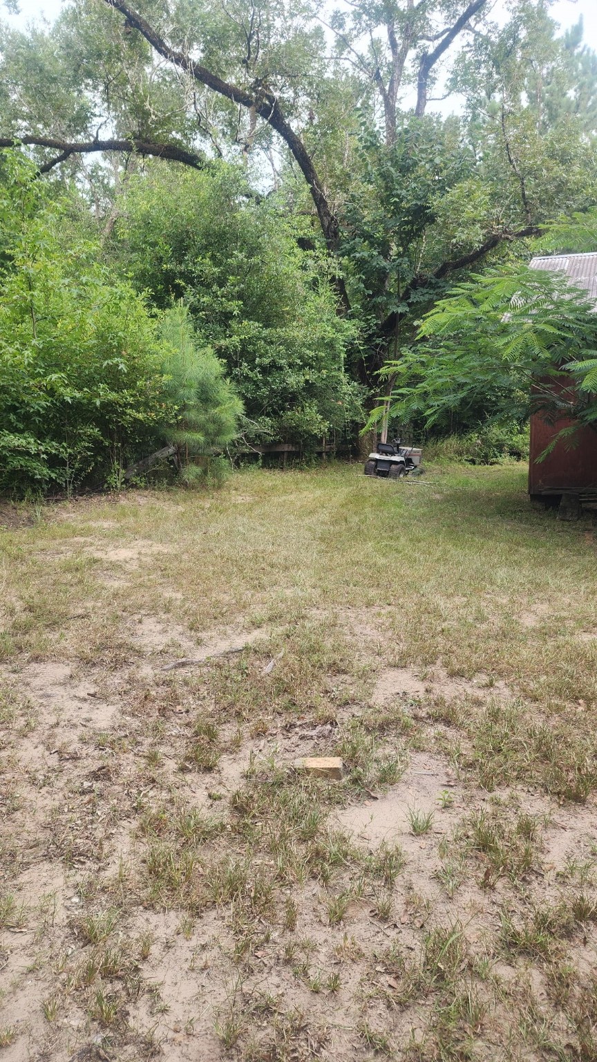 178 Pandora Property Photo 1