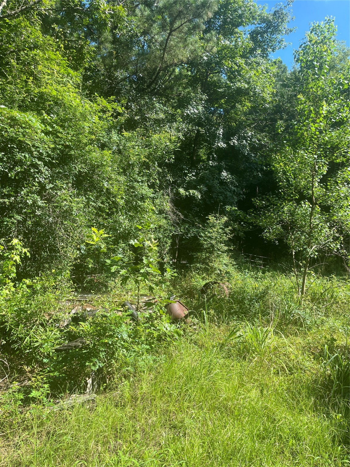 178 Pandora Property Photo 17