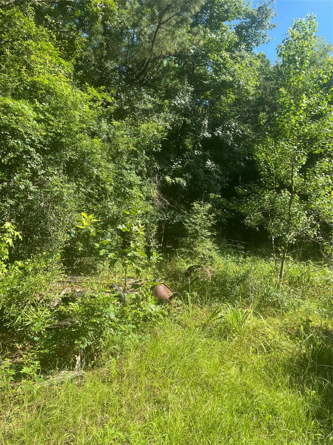 178 Pandora Property Photo 18