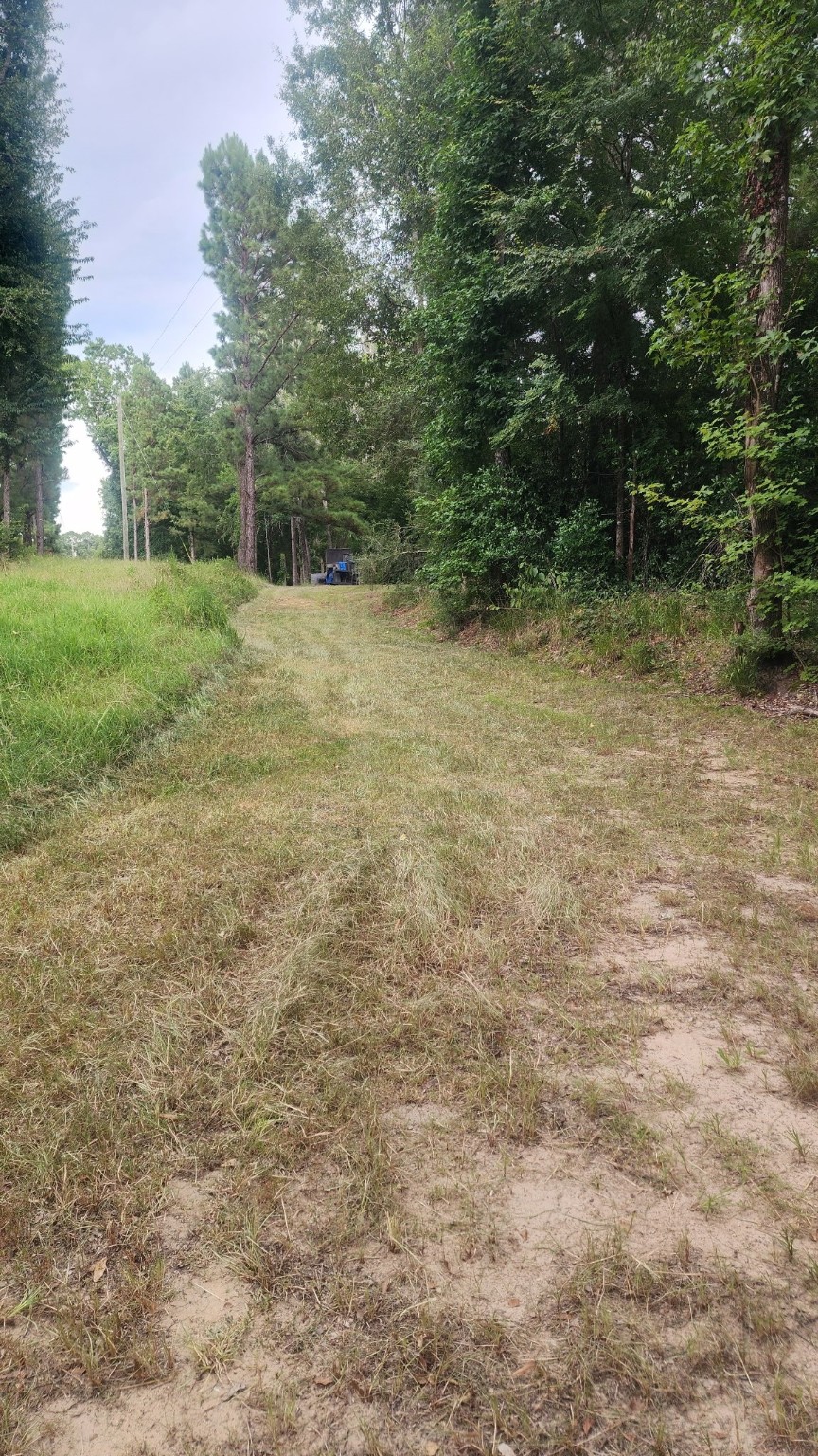 178 Pandora Property Photo 25