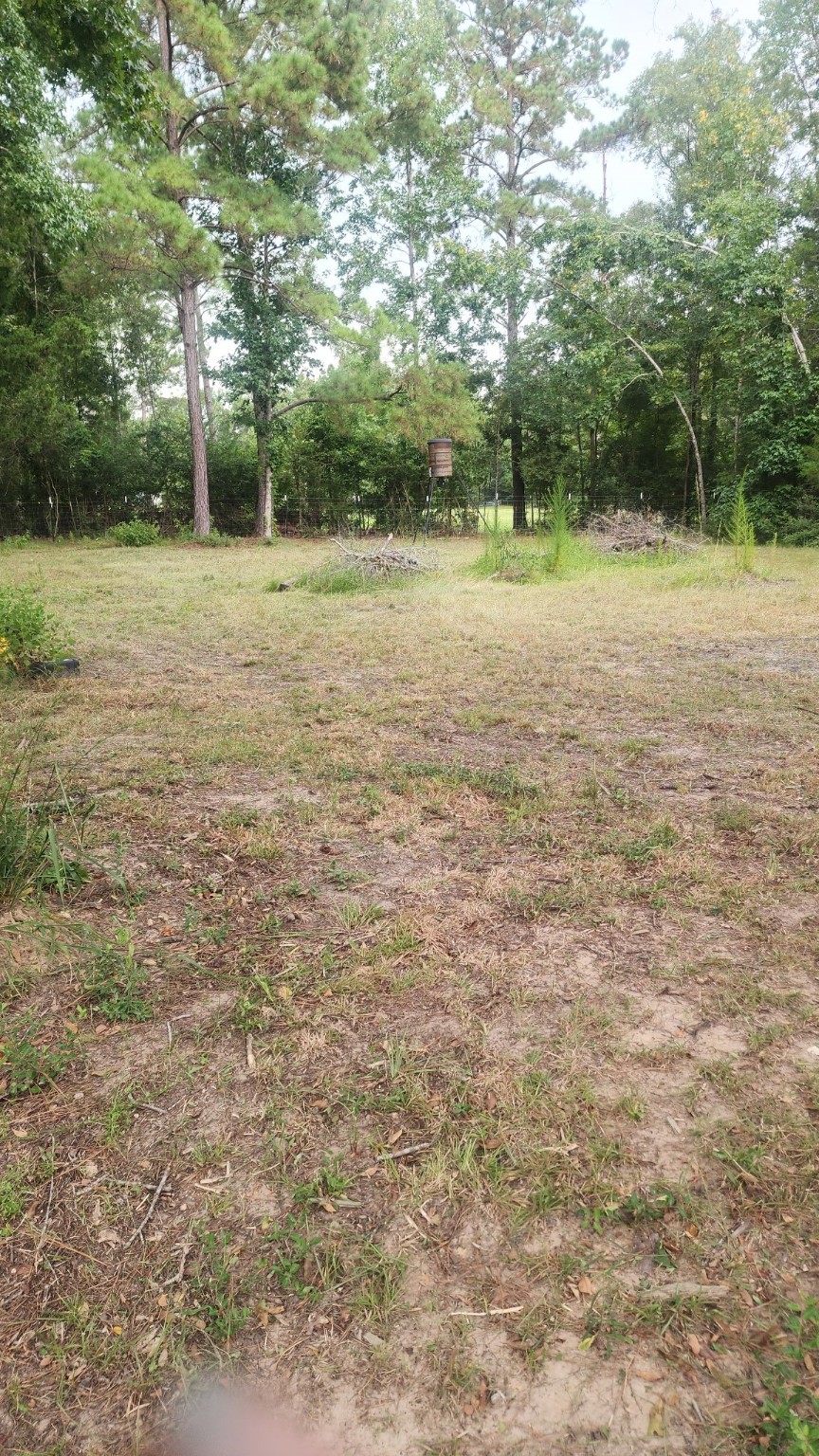 178 Pandora Property Photo 29