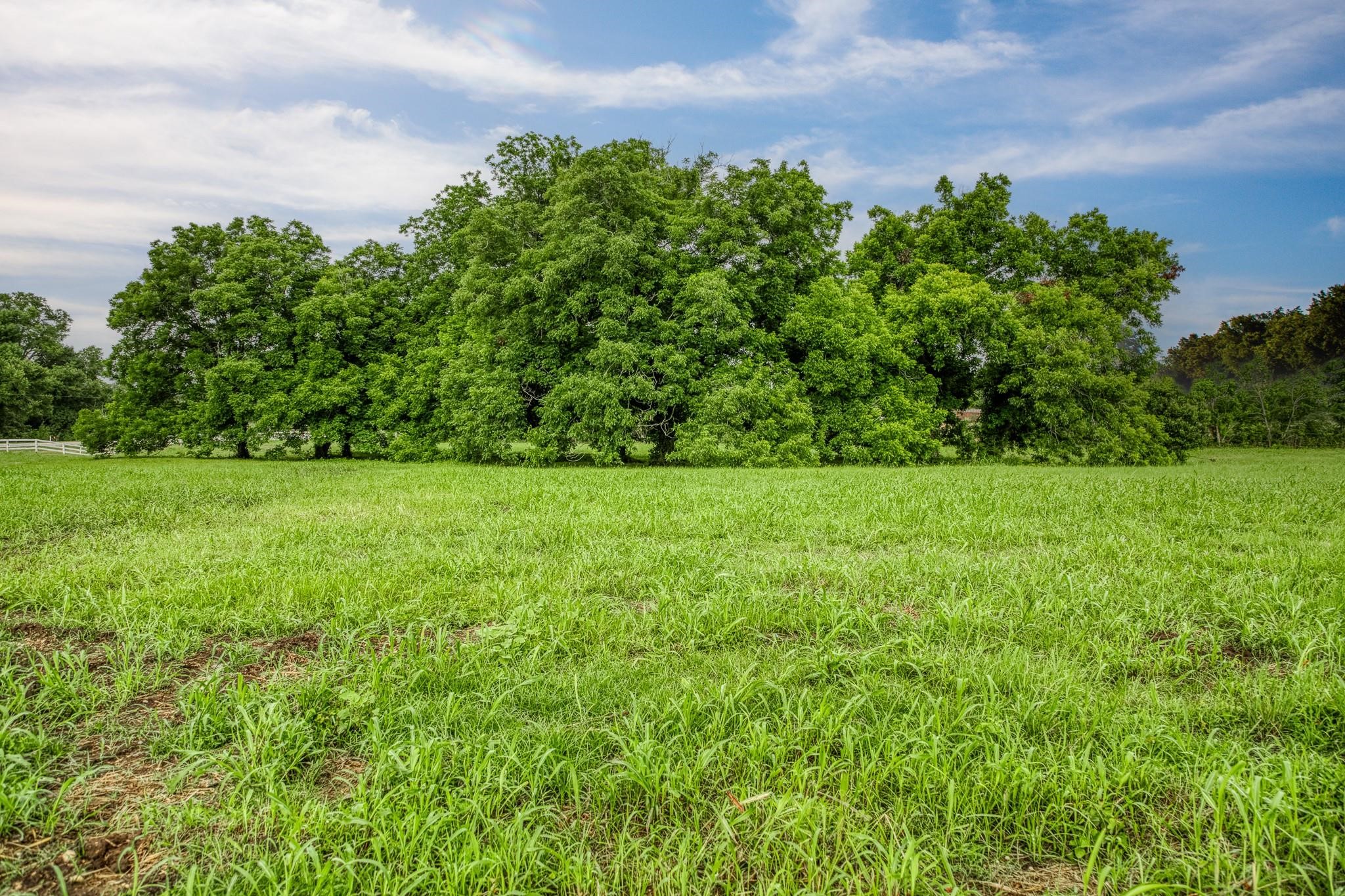16401 Fm 1155 E Property Photo 18