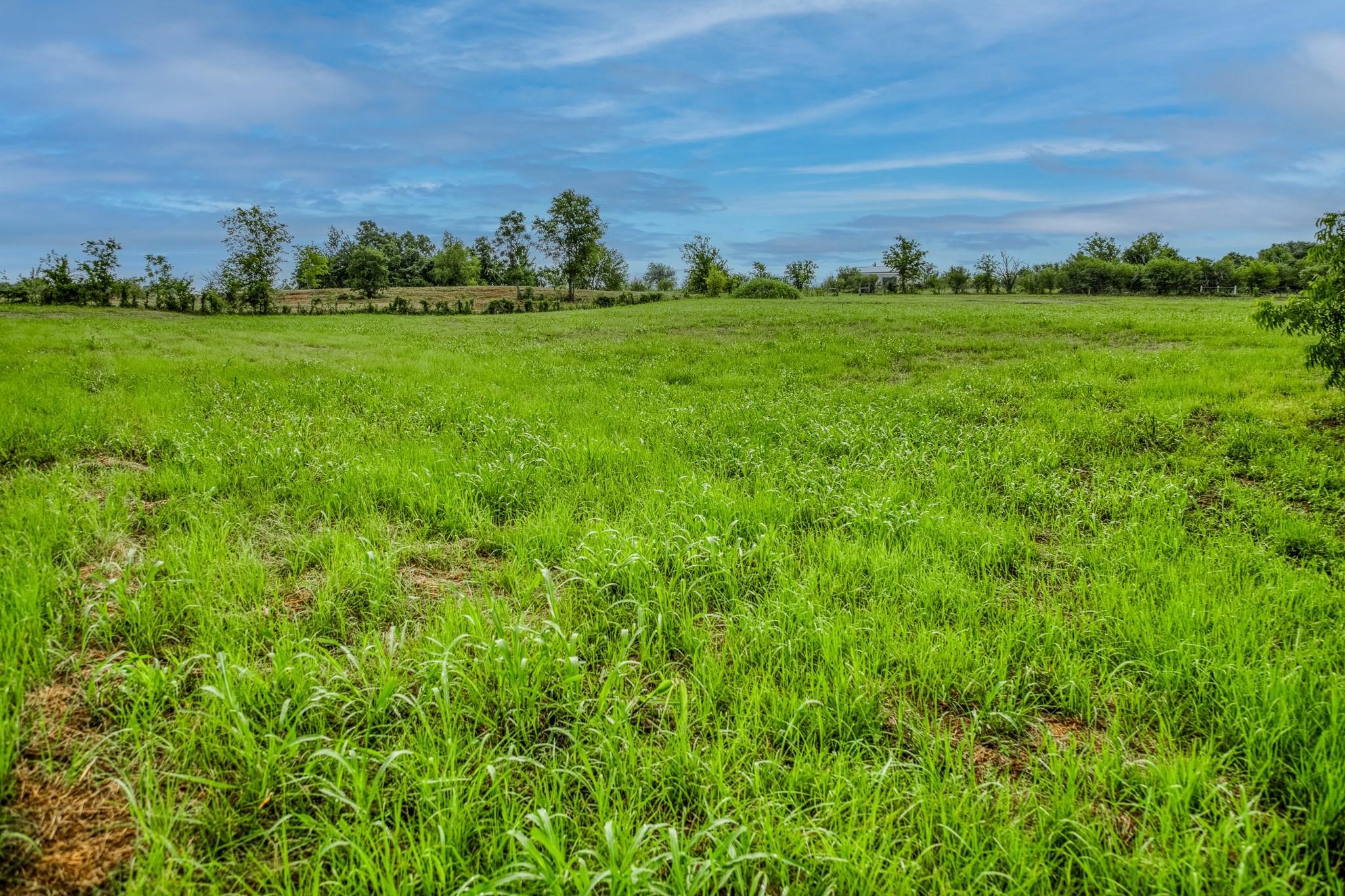 16401 Fm 1155 E Property Photo 22