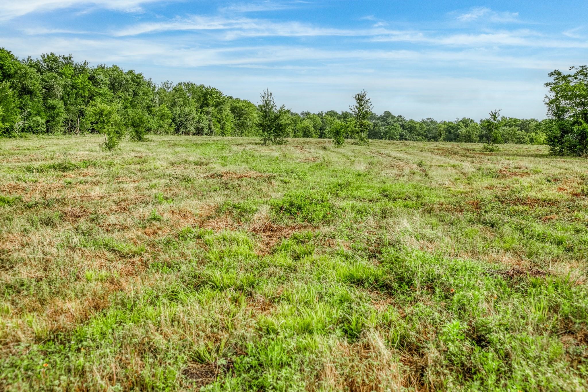 16401 Fm 1155 E Property Photo 23