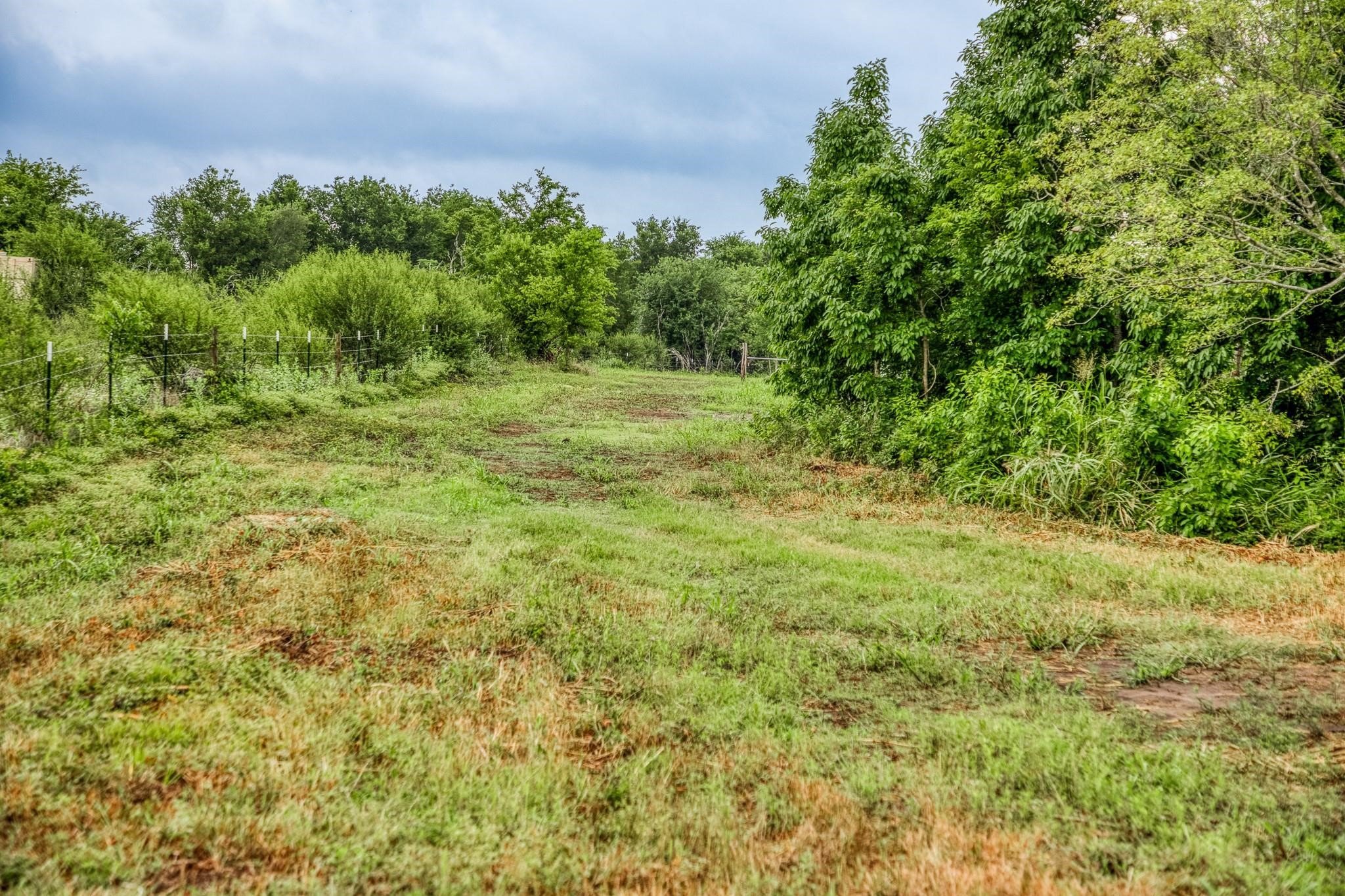16401 Fm 1155 E Property Photo 24