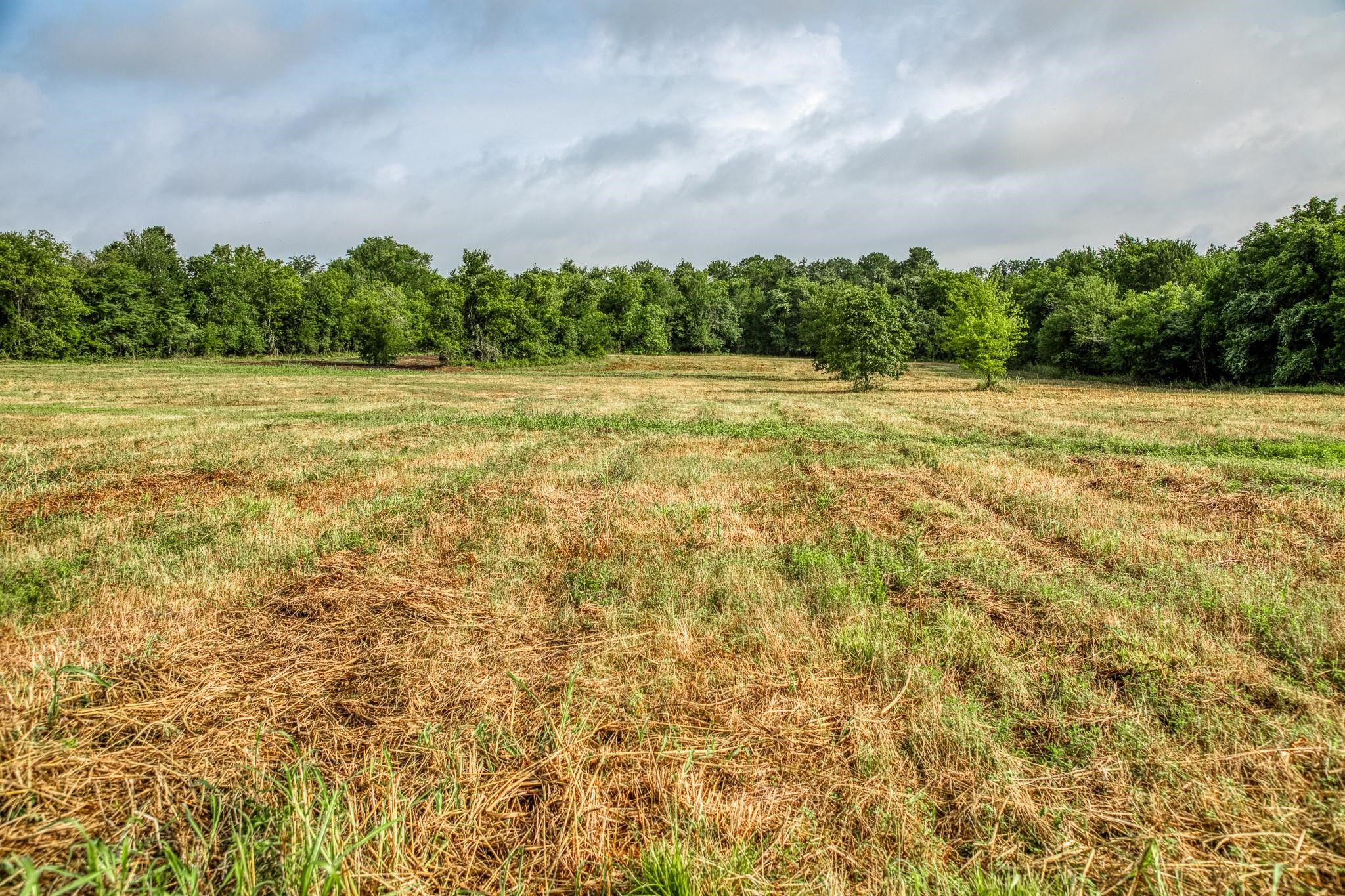 16401 Fm 1155 E Property Photo 25